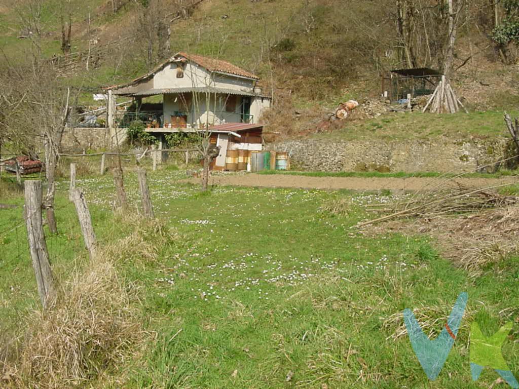 Finca de aproximadamente 690 m2 situada en El Condado. Esta finca, dispone, además, de una caseta de aperos. Con vistas a la montaña asturiana. A pocos minutos de Pola de Laviana.
El precio de la propiedad no incluye los gastos de impuesto de transmisiones patrimoniales, notariales ni de registro