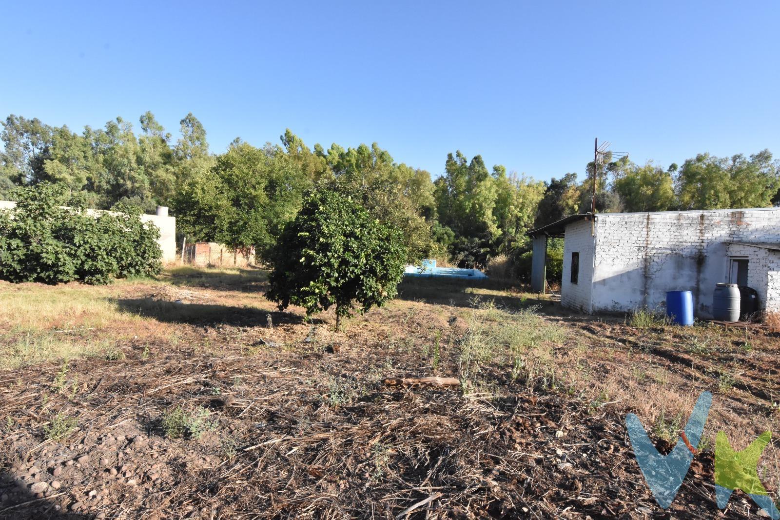 Te presentamos una oportunidad excepcional de adquirir una parcela urbanizable de 2800 metros cuadrados situada en un entorno tranquilo de Dos Hermanas, Sevilla. Esta propiedad incluye un espacio que ofrece posibilidades infinitas para personalizar tu espacio ideal, requiere de una amplia reforma para maximizar su potencial. Disfruta del lujo inigualable de tener tu propia piscina privada rodeada por un amplio jardín donde podrás relajarte o disfrutar al aire libre. Este oasis natural es perfecto tanto si deseas establecerte permanentemente como si buscas crear la segunda residencia perfecta a medida según tus gustos personales. Además, se incluye un trastero funcional que te permitirá almacenar herramientas u otras pertenencias esenciales relacionadas con el mantenimiento del jardín y la piscina. No pierdas esta gran oportunidad inmobiliaria donde podrás combinar modernidad y naturaleza. Informamos a nuestro clientes que el precio de venta no incluye lo siguiente: Honorarios de la agencia inmobiliaria, impuestos (el Impuesto de Transmisiones Patrimoniales, I. V. A. , o A. J. D. , en su caso), otros gastos de la compraventa (gastos de registro de la Propiedad, Notaría, gestoría ni de posible financiación). Documento D. I. A. a disposición del consumidor según Decreto 218/2005 Junta de Andalucía.