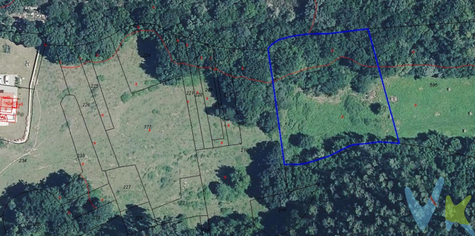 ¿Te gustaría tener tu propio rincón verde en Cantabria?Esta parcela rústica en la zona de Ruiloba, a un paso de la preciosa costa cántabra, es justo lo que estás buscando si sueñas con cultivar tu propia huerta, criar animales o simplemente desconectar rodeado de naturaleza.El terreno es amplio, perfecto para plantar tomates, calabacines, árboles frutales o lo que se te ocurra. Imagínate recogiendo tus propias hortalizas o fruta, sabiendo que todo lo que comes lo has cultivado tú.Además, está en una zona tranquila, con vistas despejadas y ese aire puro que solo se respira en el norte. Ideal para quien quiere empezar un proyecto agrícola, ganadero o simplemente tener su propio paraíso natural. Ven a verlo sin compromiso. Te aseguro que cuando pongas un pie allí, vas a empezar a imaginar todo lo que podrías hacer.