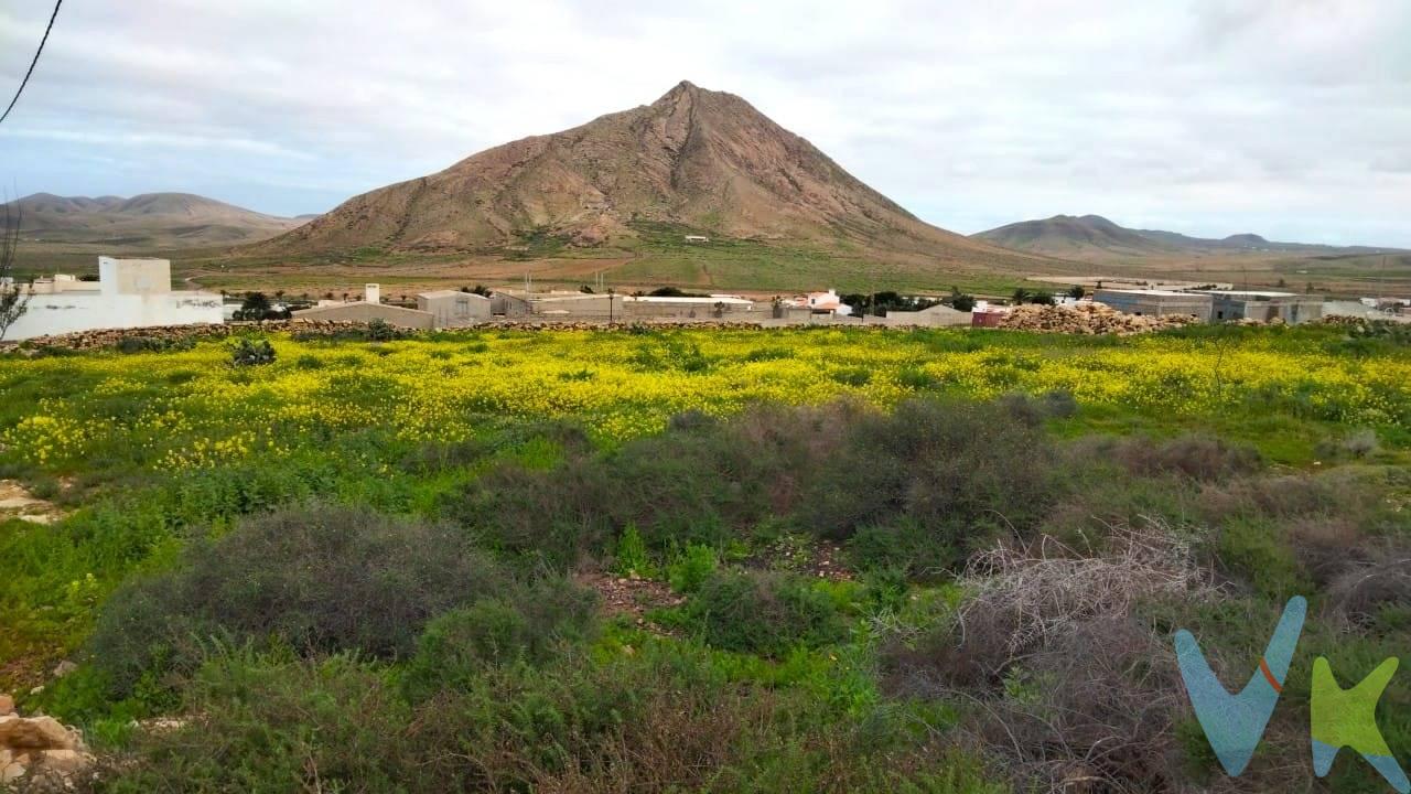 Se vende magnífica parcela en Tindaya, con una superficie de 1.823 m², ubicada en un entorno único con espectaculares vistas a la emblemática Montaña de Tindaya y al mar, siendo un enclave con gran riqueza paisajística y valor cultural. La parcela cuenta con una edificabilidad del 25% (clasificación de suelo: Asentamiento Rural), lo que permite la construcción de una vivienda unifamiliar independiente de gran tamaño, con amplias posibilidades de diseño, jardín privado y piscina, en un entorno de absoluta tranquilidad y privacidad. Destaca además por su excelente ubicación: hace esquina, dispone de fácil acceso desde carretera asfaltada y cuenta con acometidas cercanas de electricidad, agua y fibra óptica, lo que facilita el desarrollo del proyecto de construcción. La parcela se encuentra a pocos minutos de las maravillosas playas del Cotillo y de algunas de las playas más vírgenes de la isla como Esquinzo y Jarugo. Además, está muy cerca de La Oliva, de Villaverde y a tan solo 15 minutos de Corralejo y a 20 minutos de Puerto del Rosario. ¡Aproveche esta oportunidad de construirse su vivienda en Tindaya, un pueblo tradicional y acogedor que combina la esencia rural canaria con un creciente atractivo turístico y cultural y siendo una de las zonas más demandadas y con más proyección de la isla! ¡También es muy interesante para inversores que buscan alta revalorización!. Información adicional: el precio de venta no incluye los gastos de notaría, registro e impuestos asociados. Los datos proporcionados son orientativos y pueden estar sujetos a errores u omisiones involuntarias. 