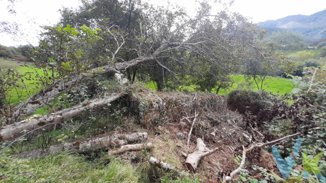 Finca edificable en el interior de Llanes, en Carranzo,  y muy cerca del pueblo de Tresgrandas, a pocos kilómetros de las principales playas. entre Vidiago, Pendueles y Playa de la Franca. Es una finca de 7.000 metros aproximadamente, con una antigua casa y cuadra, ahora en ruinas que podrás renovar tu mismo y construir el alojamiento y el hogar que desees, con vistas a la sierra de Cuera. Ideal zona para turismo rural. Una zona preciosa para una segunda residencia. Llámanos. El precio de la venta no incluye gastos de registro, notaría e impuestos de transmisiones.