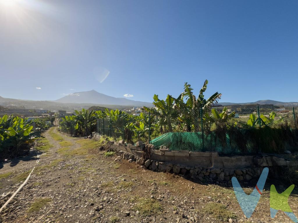 En venta gran terreno en la zona de Santo Domingo- La Guancha con casa. Oportunidad única en la zona agrícola: Se vende terreno de más de 9.317 m² de cultivo de platanera, con gran potencial productivo. Ideal para aquellos interesados en la agricultura o en proyectos de explotación agrícola. Características destacadas:. •Terreno de 9.317 m² de cultivo de platanera, en plena producción. •Casa a terminar de reformar, perfecta para vivienda o para personal de trabajo. •Estanque de gran capacidad (600 m³) para riego, garantizando el suministro de agua durante todo el año. •Excelente ubicación por su clima y tranquilidad. . NO HIPOTECABLE. La propiedad no dispone de luz ¡No pierdas esta oportunidad de inversión en una zona de gran tradición agrícola! Datos meramente informativos sin valor contractual. Impuestos y gastos de transmisión, no incluidos en el precio de venta.