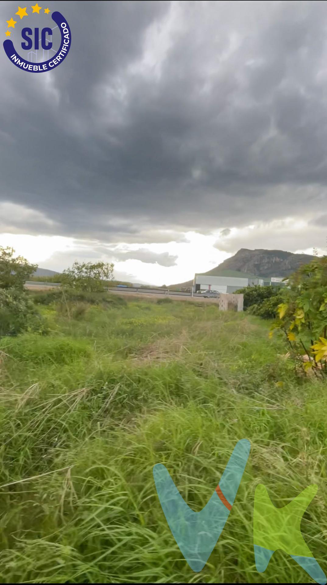 Terreno rústico en Tavernes de la Valldigna – Ideal para uso agrario. Se vende parcela rústica en la zona de El Teularet, Polígono 37, Parcela 188, en el término municipal de Tavernes de la Valldigna. •Superficie registral: 1.276 m². •Superficie catastral: 1.067 m². •Uso principal: Agrario. •Clase de terreno: Rústico. Ubicada en un entorno natural y tranquilo, esta parcela es ideal para cultivos, huerta o actividades agrícolas. Perfecta para quienes buscan un espacio en el campo con fácil acceso desde Tavernes de la Valldigna. Si te interesa o deseas más información, ¡contáctanos!. La descripción del presente inmueble e imágenes tienen mero carácter informativo y en ningún caso carácter contractual, pudiendo ser modificados por la inmobiliaria comercializadora sin que ello implique responsabilidad alguna frente a terceros. En el precio de venta a público, esta propiedad NO incluye los gastos de adquisición (Notario, registro, gestión, honorarios, etc…).