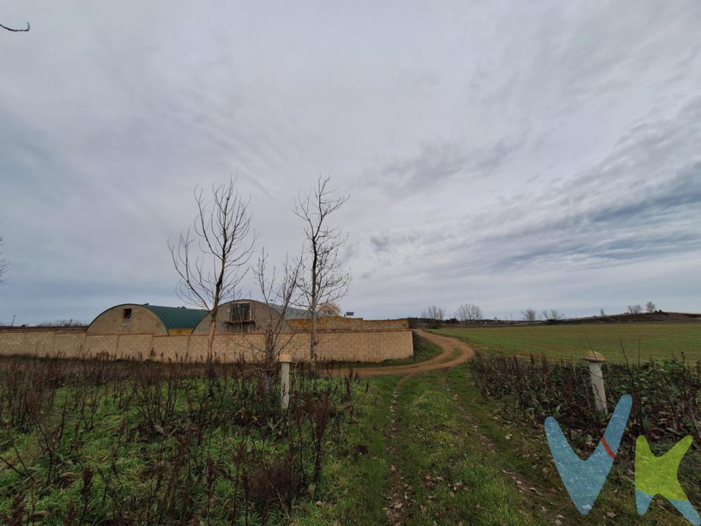 Ubicadas en Sahagún, un punto estratégico en la LE-6707, a escasos minutos de la autovía A-231 dirección Burgos, llegando a ésta en una hora aproximadamente y dirección León estando a tan sólo 39 minutos de la capital, por lo que son de fácil acceso por carretera. Granja de conejos con capacidad para 700 madres, 5.600 gazapos en el cebadero, y 350 conejas en reposición.Construcción con 23 años, consta de dos naves paralelas de 550 m2 cada una. Altura 5 m en el centro, ancho 11 m y por 50 m de largo.Las naves se encuentran totalmente cercadas con muros y con puerta que da acceso a las mismas. Sistema de limpieza automática por arrobaderas. Descarga de pienso automática a tolvas interiores. Reparto interior con tolvas desplazables sobre comederos (llenado directo). Ventilación centralizada por manivela. Jaulas con lactancia controlada. Sistema actual de manejo por inseminación. Acometida corriente trifásica. Incluye parcela en total de 23.685 m2. Cuenta con licencia municipal y registro de ganadería, totalmente al día.Tiene pozo de agua independiente y el suministro de luz es con grupo electrógeno Gastos e impuestos no incluidos en el precio. A título orientativo, en segundas transmisiones, el comprador abonará el Impuesto sobre Transmisiones Patrimoniales (ITP). Para consultar los porcentajes del ITP  puede hacerlo a través de la web oficial de servicios tributarios https://tributos.jcyl.es/web/es/beneficios-fiscales/impuesto-sobre-transmisiones-patrimoniales.html. La base imponible será el mayor valor entre precio de compraventa, tasación o valor de referencia catastral. Gastos de notaría y registro aranceles variables según precio, número de copias y complejidad).  El comprador escoge libremente notario. El vendedor asume, por ley, los gastos que le correspondan, salvo pacto en contrario. Si se precisa hipoteca: Tasación, condiciones y costes bancarios según entidad elegida por el comprador; así como los gastos de gestoría y cualesquiera otros inherentes a la formalización de la compraventa. De acuerdo con la ley, no se incluyen en el precio otros gastos o tributos que legalmente correspondan al comprador.    Honorarios de intermediación inmobiliaria a cargo del vendedor y honorarios de mediación inmobiliaria del 2% más I.V.A. a cargo del comprador.        El consumidor tiene derecho, conforme a la normativa vigente, a disponer de información y documentación adicional relativa al inmueble y condiciones de la compraventa, accesible en la sede física de la agencia en la calle Av. Constitución 66, 24320, Sahagún, León o a través del correo electrónico g.alquiasturinmobiliaria@gmail.com. La agencia actúa exclusivamente como intermediaria en la operación. Cualquier compraventa y sus condiciones quedan sujetas en todo caso a la aceptación expresa del vendedor del inmueble y a la posterior formalización del correspondiente contrato. El presente anuncio tiene carácter meramente informativo; la información suministrada se corresponde con la disponible a la fecha de publicación, pudiendo variar en función de las circunstancias o actualizaciones legales, contractuales y fiscales.