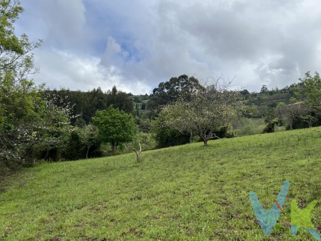 Finca en el barrio de Caldones , LLaneces.Vistas a las montañas, al valle y con un entorno paisajístico de cuento .Buen acceso.Cerrada de vegetación.No edificable.Al ser rustica no se pagan el 8% de Transmisiones Patrimoniales.En el precio no están incluidos los gastos de Notaria y Registro.