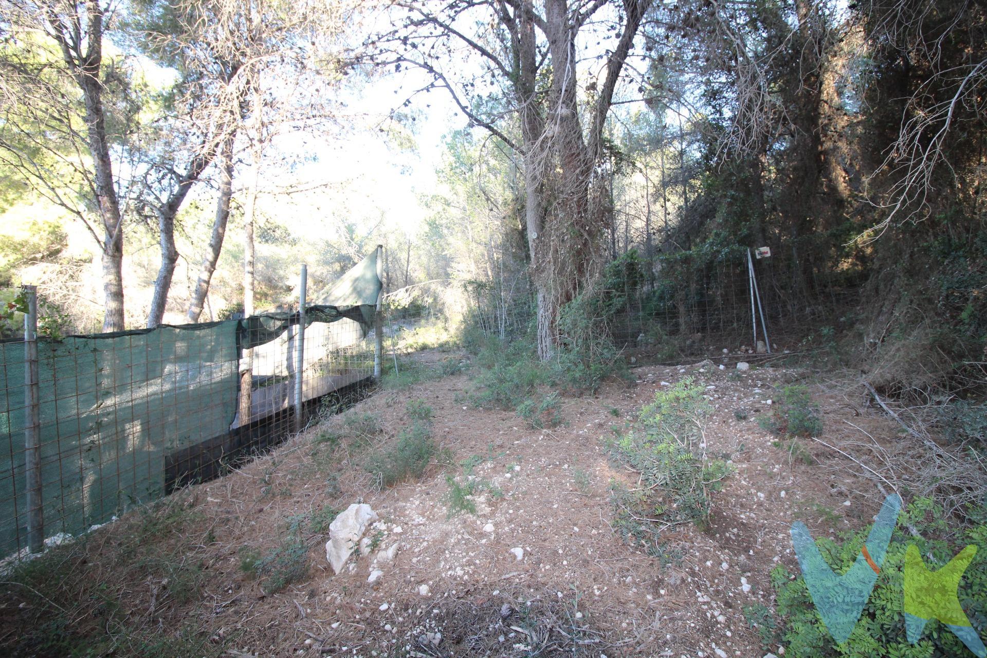 undefined-thumbnail
