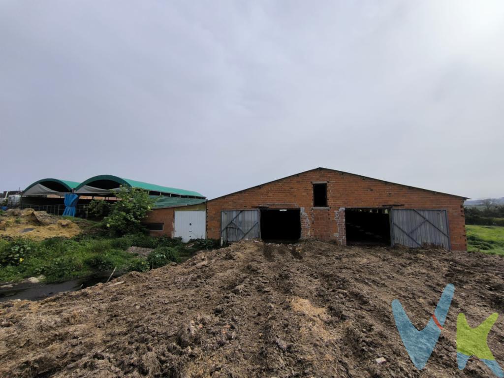 En el pueblo de Queveda, junto al pueblo de Santillana del Mar, ponemos esta nave en venta de 490 m2 construidos y con una hermosa finca de 7733, actualmente de uso agrario y ganadero. Se puede hacer cambio de uso y construir una hermosa casa en un lugar espectacular, a 3 minutos de Santillana del Mar, a 15 minutos de Torrelavega y cerca de la costaUna gran oportunidad. Llámenos