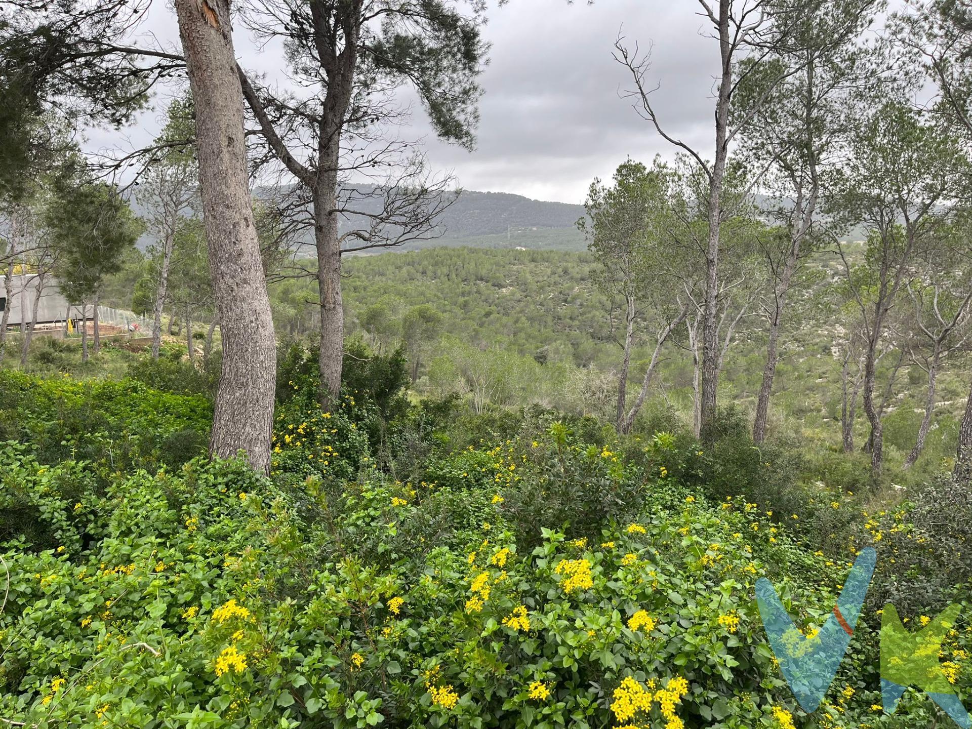 Quieres construirte la casa de tus sueños en Vora Sitges, Canyelles?. Aquí tienes la oportunidad de hacerlo en un terreno plano  de 744 m2 y con unas vistas inmejorables. clave ubanística R6b . edificabilidad 55% 409 m2 . ocupación 30% 223 m2 . oc. construcción auxiliar 5% 37 m2 . niveles (P. sot)+PB+1PP