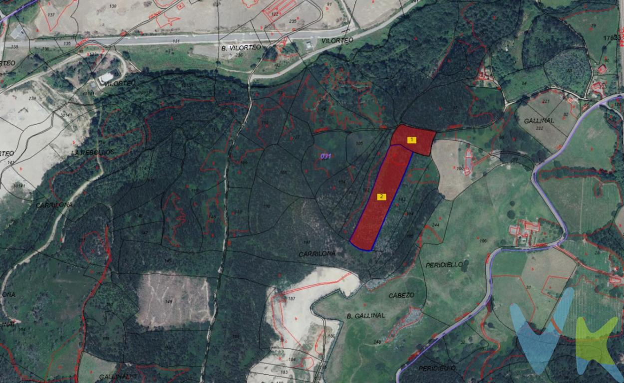 Ponemos a la venta estas dos fincas físicamente unidas de más de 10.000 m2 en total según escrituras, destinadas a explotación arbórea. Una opción de negocio muy interesante a un precio muy asequible. En el precio no están incluidos el 8% de ITP ni los gastos de Notaría y Registro. 