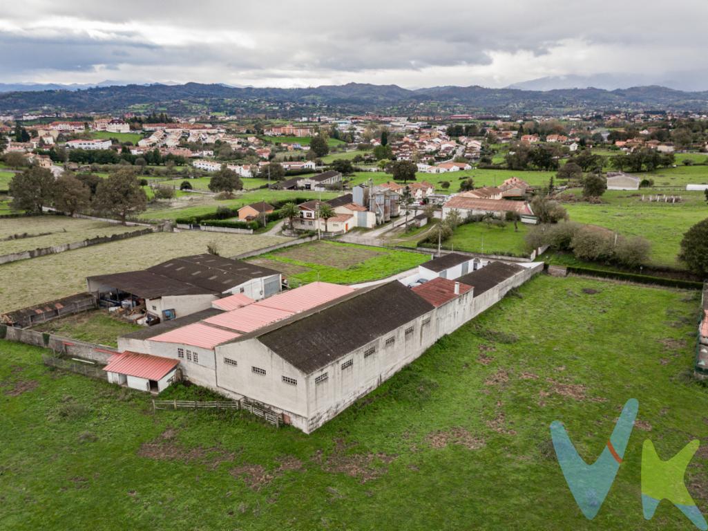 PRESENTAMOS ESTA PROPIEDAD EN NOREÑA EN EL CENTRO DE ASTURIAS, MUY INTERESANTE TANTO PARA INVERSORES, COMO PARA EXPLOTARLA COMO NEGOCIO. CONSTA DE VARIAS EDIFICACIONES QUE ESTÁN DENTRO DE UNA MISMA PARCELA PRIVADA Y CERRADA. SON 1300 METROS CUADRADOS DE PARCELA DONDE CONSTAN VARIAS EDIFICACIONES, QUE PASO A DESCRIBIR.DECLARACIÓN DE OBRA NUEVA AÑO 2022.VARIAS DE ELLAS SE ENCUENTRA ARRENDADAS ACTUALMENTE.1. NAVE DE 500 M2 CON UNA ALTURA DE 5 M, PLANTA ÚNICA CON OFINA DE 15M2 CON ALTILLO DE LAS MISMAS DIMENSIONES. TECHO DE URALITA IMPERMEABILIZADO Y PAREDES DE LADRILLO CERÁMICO. ESTÁ CERRADA CON UN PORTÓN Y 12 VENTANALES. INSTALACIÓN ELÉCTRICA INDUSTRIAL.2. CASA VIVIENDA DE 73 M2 A LA QUE SE ACCEDO POR ESCALERA QUE COMUNICA CON EL RESTO DE LA FINCA. ESTÁ CONSTRUIDA EN LADRILLO DE HOEMIGÓN CON CÁMARA.3. OFICINA DE 30M2. SITA DEBAJO DE LA CASA DESCRITA EN EL PUNTO 2.4. CUADRA DE 30M2. SITA DEBAJO DE LA CASA DESCRITA EN EL PUNTO 2.5. NAVE DE 60M2 DIVIDIDA EN 3 DEPARTAMENTOS POR PORTILLAS DE HIERRO, PLANTA ÚNICA. DENTRO DE LA PLANTA EXISTE UN DEPÓSITO DE PURIN, CON PARRILLAS DE HORMIGÓN, ACONDICIONADO CON LAS MISMAS DIMENSIONES DE LA NAVE. EN LA PARTE SUPERIOR EXISTEN 3 DEPÓSITOS DE AGUA. ESTÁ CERRADA CON BLOQUE DE HORMIGÓN, EXCEPTO POR SU FRENTE QUE ESTÁ CERRADO CON PORTILLAS DE HIERRO.6.NAVE DE 30M2 CON UNA ALTURA ÚTIL DE 3M, PLANTA ÚNICA. ENTRO DE LA PLANTA EXISTE UN DEPÓSITO DE PURIN, CON PARRILLAS DE HORMIGÓN, ACONDICIONADO CON LAS MISMAS DIMENSIONES DE LA NAVE. EN LA PARTE SUPERIOR EXISTEN 3 DEPÓSITOS DE AGUA. ESTÁ CERRADA CON BLOQUE DE HORMIGÓN, EXCEPTO POR SU FRENTE QUE ESTÁ CERRADO CON PORTILLAS DE HIERRO.7. NAVE DE 60M2, PLANTA ÚNICA CERRADA CON BLOQUE DE HORMIGÓN Y DIVIDIDA EN 3 DEPARTAMENTOS. SE ACCEDE A LA MISMA POR MEDIO DE 2 PORTONES CORREDERA.8. CUARTO PARA BOMBA DE AGUA DE 10M2 CON DEPÓSITO DE AGUA CON CAPACIDAD PARA 2000 L DE AGUA.LA TOTALIDAD DE LA FINCA EN LA QUE SE ENCLAVAN ESTAS EDIFICACIONES HA SIDO CERRADA CON MURO DE BLOQUE A UNA ALTURA DE 2M CON PORTÓN DE ENTRADA.SOBRE LA FINCA QUE HEMOS DESCRITO EXISTEN CONSTRUIDAS HACE TREITA AÑOS 2 GARAJES.A) Y B) LOS DOS DE 5M DE FRENTE POR 6,2 DE FONDO POR 3,5 DE ALTURA MEDIA, 28M2 ÚTILES,  30M2 CONSTRUIDOS. PARA CUALQUIER CONSULTA O VISITA NO DUDES EN CONTACTARNOS.