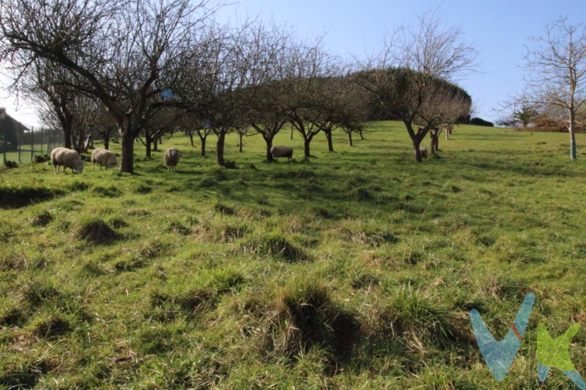 Excelente finca  procedente de parcelación en Mareo . Se encuentra ubicada cerca  de la ciudad, enfrente de la escuela deportiva  de Mareo. Tiene una superficie de 1.503 metros en los que podrá construir hasta una vivienda de 300 metros. La parcela tiene todos los servicios: luz, agua y saneamiento. Tiene una excelentes vistas y muy buena orientación. Para hacer realidad esa casa que sueña solo tiene que visitar esta parcela, nosotros le ayudaremos con todos los trámites e incluso con la construcción de su vivienda!!!