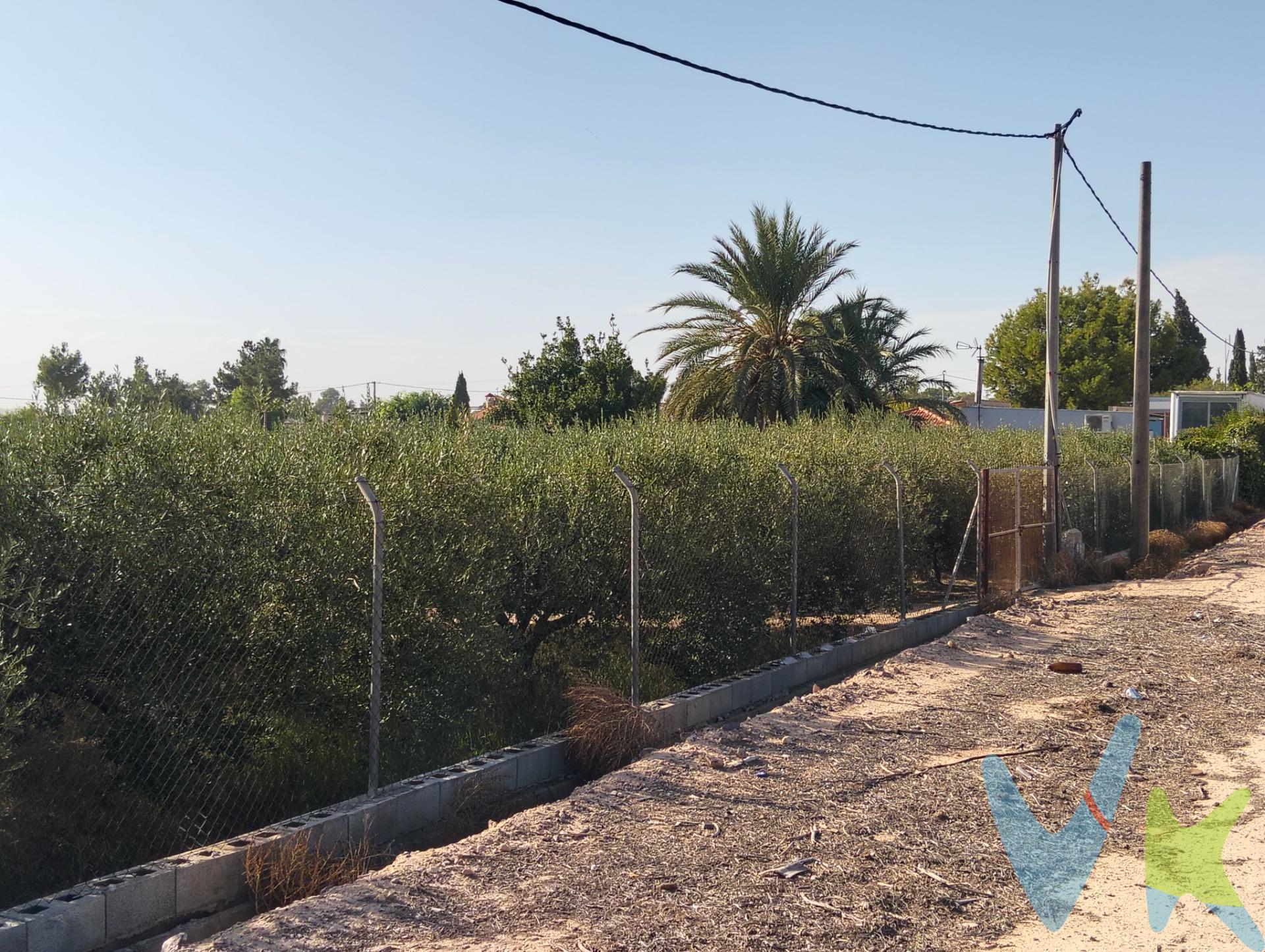 Finca de dos mil m2 con plantación de olivos (80 udes.) en producción y a pleno rendimiento generando 4.000 Kilos aproximadamente al año. Dicha finca está totalmente vallada, con agua de riego (pozo San Manuel) y luz a falta de acometida y enganche. Situada en El Paraje Lo Cortao en la zona de La Pilíca, a tan solo unos minutos del centro de Las Torres de Cotillas. Para terminar, te queremos comentar algo: ¡Descubre una aventura inmobiliaria que combina calidad, pasión y profesionalidad! La confianza que los propietarios han depositado en nosotros es un testimonio de nuestro compromiso en brindarte un servicio excepcional. Aquí viene el detalle especial: al contactarnos directamente, evitarás molestarlos, nosotros seremos tus intermediarios y te proporcionaremos toda la asistencia necesaria. Estamos aquí para facilitarte la documentación e información que requieras, y te prometemos un trato cálido y sin complicaciones. Te informaremos detalladamente de todos los aspectos, incluyendo gastos de la compra y honorarios de agencia que no están incluidos en el precio, para garantizar tu comodidad y tranquilidad durante todo el proceso. Esa es nuestra esencia, proporcionarte #Calma: “Estado ideal de tranquilidad que tendrás al comprar tu terreno con nosotros”. Queremos que sepas que tanto la descripción del inmueble como las imágenes que ves son valiosas referencias informativas, en ningún caso tienen carácter contractual. Asimismo, el precio ha sido designado por la propiedad por lo que podría sufrir variaciones y no sería vinculante hasta que se formalice en contrato de compraventa.