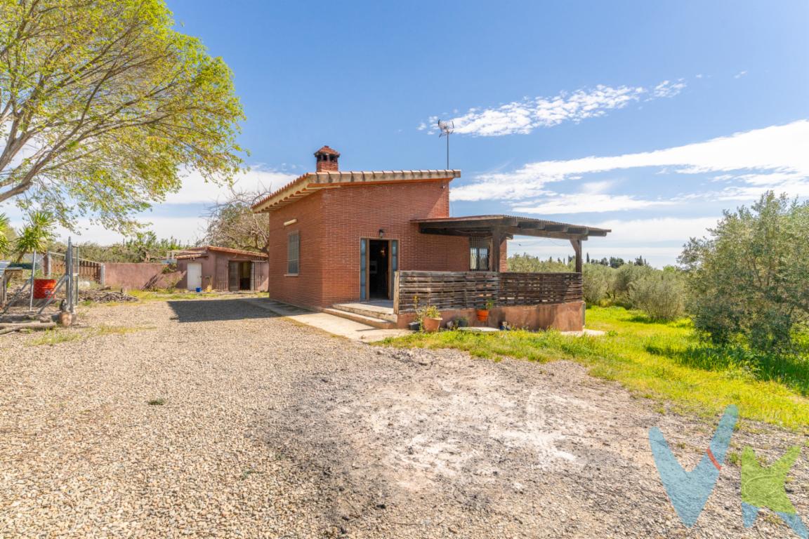 Imagine una propiedad donde el orden, la comodidad y la naturaleza se entrelazan en perfecta armonía. Al llegar a esta finca de 7.315 m² en La Selva del Camp, lo primero que sorprende es su inteligente diseño. Lejos de ser un terreno rústico convencional, el espacio ha sido dividido con maestría en dos áreas independientes, permitiendo que cada rincón de la finca cumpla un propósito distinto sin interferir con el otro.Al adentrarnos en la zona superior (A), nos recibe una robusta edificación de obra vista de 93 m². Es una construcción con carácter y presencia, que se alza junto a una gran balsa de hormigón que brilla bajo el sol. El entorno ha sido pensado para la comodidad: amplias explanadas de grava facilitan el movimiento de vehículos, creando un ambiente despejado, limpio y profesional.Siguiendo el relieve de la tierra, descendemos hacia la zona inferior (B). Aquí, el ambiente se vuelve más íntimo y sereno. Protegida por sus propias vallas y rodeada de olivos  y vegetación ornamental, encontramos una acogedora mobile home. Es el lugar ideal para invitados o para disfrutar de un retiro de fin de semana en contacto directo con la tierra, sintiendo la paz que solo el campo puede ofrecer.Pero el verdadero valor de esta finca reside en lo que no siempre se ve a simple vista, pero que marca la diferencia en el día a día. Aquí, la autonomía es total gracias a un pozo propio legalizado que late bajo el suelo, garantizando agua en abundancia. Y, en un gesto de confort poco común en estas tierras, la finca está conectada directamente a la red eléctrica general.No es solo una finca; es un espacio listo para ser vivido, donde la logística está resuelta y solo queda lugar para el disfrute o la productividad. Un enclave estratégico donde la comodidad moderna se encuentra con la tradición agrícola.La vivienda no consta inscrita en el Registro de la Propiedad, por lo que, en su estado actual, no es apta como garantía hipotecaria. La eventual inscripción y regularización deberán ser gestionadas y asumidas por el comprador.El precio indicado corresponde al PVP (Precio de Venta al Público).Los gastos adicionales derivados de la compraventa como los de notaría, registro de la propiedad e Impuesto de Transmisiones Patrimoniales (ITP)no están incluidos en el PVP. Estos gastos pueden variar según el precio final de la operación y la normativa aplicable, ya que se calculan sobre la base imponible del valor de transmisión del inmueble. API: 656 AICAT: 2188  DAVID BARGALLO BOIVIN  - VIVENDEX REUS PARTNERS SL