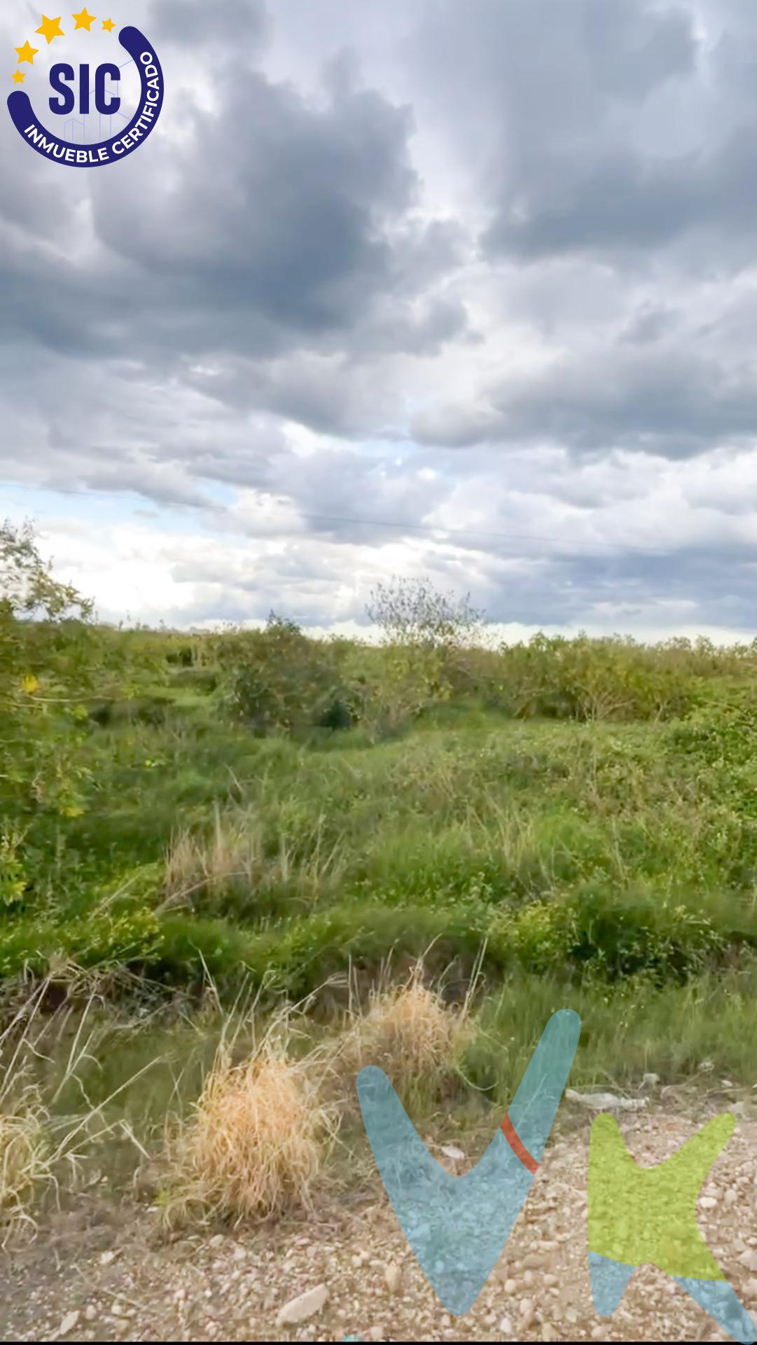 Terreno rústico en Tavernes de la Valldigna – Ideal para uso agrario. Se vende parcela rústica en la zona de El Teularet, Polígono 37, Parcela 188, en el término municipal de Tavernes de la Valldigna. •Superficie registral: 1.276 m². •Superficie catastral: 1.067 m². •Uso principal: Agrario. •Clase de terreno: Rústico. Ubicada en un entorno natural y tranquilo, esta parcela es ideal para cultivos, huerta o actividades agrícolas. Perfecta para quienes buscan un espacio en el campo con fácil acceso desde Tavernes de la Valldigna. Si te interesa o deseas más información, ¡contáctanos!. La descripción del presente inmueble e imágenes tienen mero carácter informativo y en ningún caso carácter contractual, pudiendo ser modificados por la inmobiliaria comercializadora sin que ello implique responsabilidad alguna frente a terceros. En el precio de venta a público, esta propiedad NO incluye los gastos de adquisición (Notario, registro, gestión, honorarios, etc…).