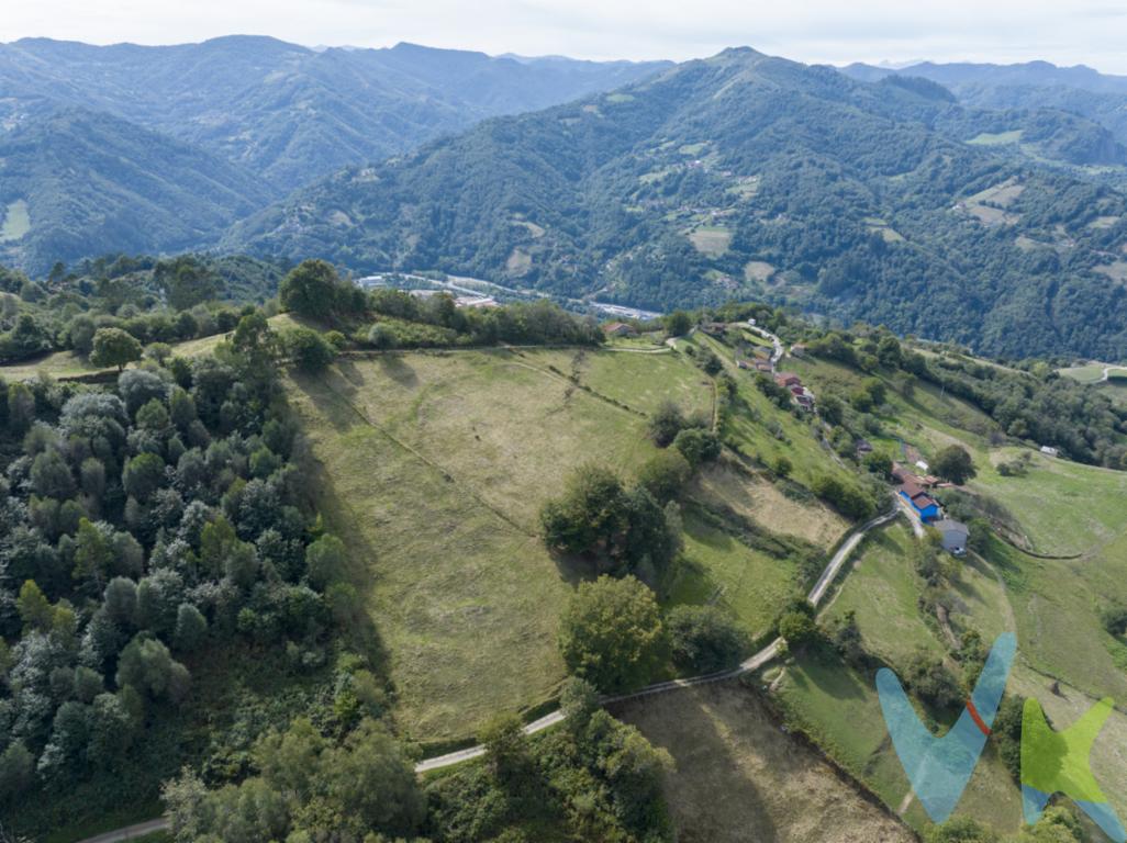 SE VENDEN DOS FINCAS RÚSTICAS EN SAN MARTÍN DEL REY AURELIO: IDEALES PARA GANADO

¿Buscas ampliar pastos para tu ganado o asegurar terreno propio para siega y pastoreo? Ponemos a la venta dos fincas rústicas en el Concejo de San Martín del Rey Aurelio, en pleno Valle del Nalón, con una superficie total de 6.154 m²:

Finca 1: 4.261 m²
Finca 2: 1.893 m²

Son terrenos pensados para el trabajo en el campo, aptos para vacuno, ovino, caprino o equino, que puedes aprovechar tanto para pastoreo directo como para siega de hierba y reserva de forraje para el invierno.

Una buena oportunidad para ganaderos de la zona que quieran ganar superficie sin alejarse de su explotación, o para quien esté empezando y necesite una base de terreno propio en Asturias.
Se venden en conjunto