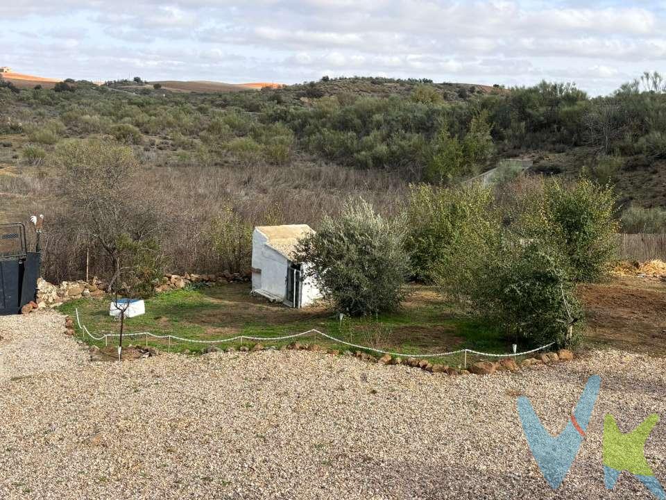 Escuchamos ofertas. Si buscas casa de campo o rural, esta es tu casa.
Se vende casa con parcela de 2.740 m2 a 8 kilómetros de Mora. Con zona de cercado para varios caballos, dos pozos de agua, piscina y arboles.
La casa a sido restaurada teniendo en cuenta el entorno de La mancha, color blanco con añil, manteniendo el encanto del entorno paisajístico en el que se sitúa. Tiene dos plantas:

Planta primera: Consta de 88m2 construidos, salón-comedor amplio con cocina integrada, 2 dormitorios y un tercer dormitorio con acceso exterior. Baño con plato de ducha, sin armarios empotrados y aparato de aire acondicionado en dormitorio principal. Dispone de una terraza de entrada de 40m2 con vistas a la parcela y a la zona de caballos.
Planta baja del inmueble con 4 dormitorios, chimenea en el dormitorio principal, vestidor y salón común. Acceso desde la escalera interior. Cuarto de baño en reforma. Superficie 88m2 aproximadamente.
Planta primera exterior: Acceso desde la zona de piscina a una séptima habitación exterior. Superficie 10m2.

En el exterior, dispone de un Jacuzzi con un año de uso, dos pozos de agua para riego, terreno cercado para los caballos, y varios trasteros en casetas prefabricadas de chapa. La piscina esta en la zona mas alta de la parcela y tiene unas vistas espectaculares al campo y a la casa.
Orientación Salón, terraza y zona de cercado de caballos Sur - Este.
CALIDADES: Suelos de terrazo en primera planta y en terminación rustico rasado en planta baja, ventanas PVC climalit oscilo batiente en ambas plantas, puertas madera color, pintura lisa, chimenea de leña, termo de agua, aire acondicionado, alarma con cámaras de video-vigilancia exterior e interior.
Pintada exterior e interiormente de blanco con detalles en añil. Una construcción tradicional del entorno manchego, individual, sin ruidos y en plena naturaleza.
ENTORNO: Pertenece a Mora, Toledo, dotada de todos los servicios. Con parada de autobús, colegios, institutos, farmacias, supermercados, etc. 
Distancias: 8 kilómetros de Mora, 8 Kms de huerta de Valdecarábanos. 30 kms de Toledo, 30 kms de Aranjuez.
La casa esta registrada en un catastro urbano y la finca en un catastro de finca rural. Es un urbanización en suelo urbanizable, por lo que no ha obtenido la calificación de suelo urbano, según el certificado no existe expediente disciplina urbanística. Según la escritura de compraventa inicial, se reconoce una obra nueva del año 1982, pero al ayuntamiento no le consta dicha obra nueva aunque si la reconoce desde dicho año. Te puedes empadronar sin ningún tipo de obstáculo, lo permite el ayuntamiento. Los propietarios actuales la compraron y rehabilitaron creando un entorno natural y bello para tener animales equinos.
Tiene el libro "Registro de explotación equina". 
Al ser rustico, la mayoría de los bancos no quieren hipotecar. Si no dispones de un contado para la compra, solo se podría hipotecar una segunda vivienda si se tuviera.
¡Infórmate sin compromiso!
Honorarios por intermediación inmobiliaria no incluidos en el precio.
"Información válida salvo error tipográfico".