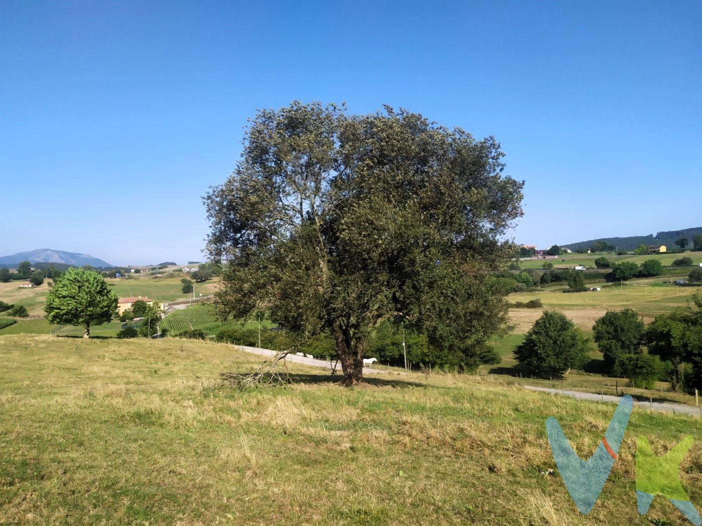 Finca urbanizable de 15.500m2 con los saneamientos a pie de finca, ofrece la posibilidad de hacer 2 viviendas unifamiliares. LA finca es prácticamente llana y cuenta con una bonita zona de arbolado, donde poder hacer un merendero. Situado en el mejor sitio de ANERO, tranquilo y con unas bonitas vistas a las tetas de Lierganes. No dude en venir a visitarlo  y recrearse en este bonito e idilico terreno. Los impuestos, gastos de notaría y registro no están incluidos en el precio