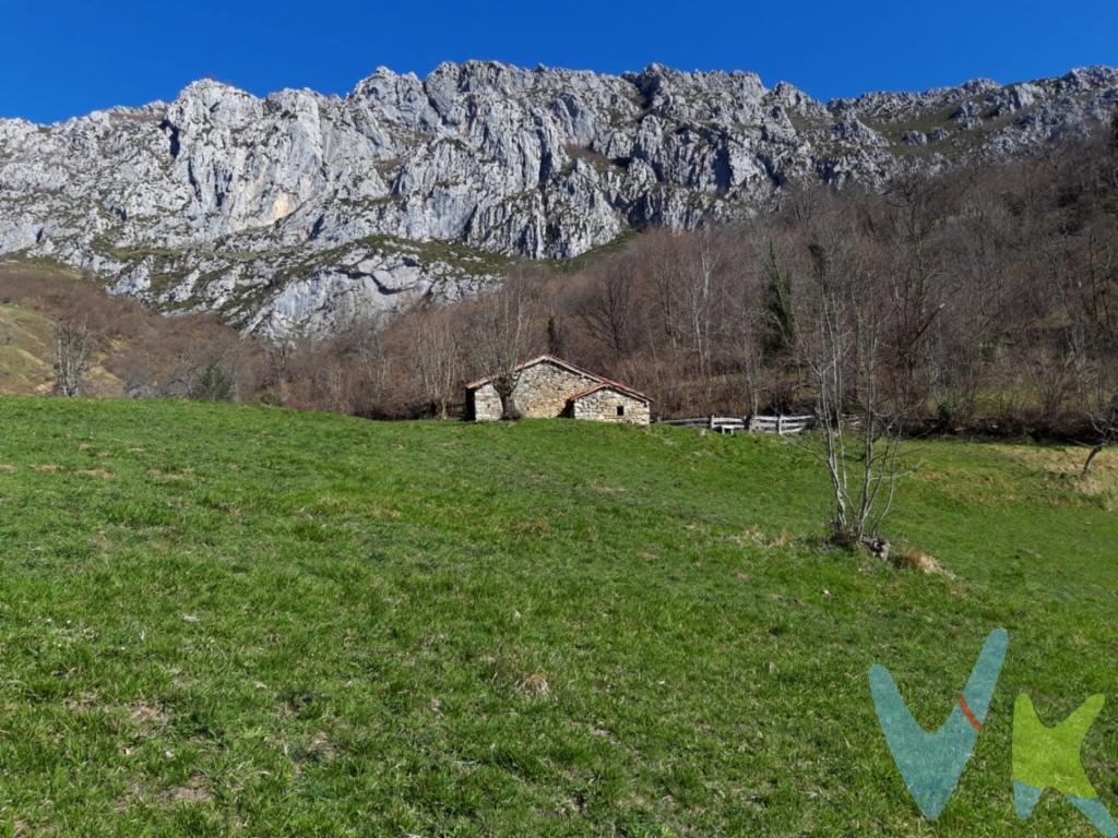 Hay lugares que no necesitan presentación. Basta con llegar a ellos para comprender por qué quienes los conocen siempre desean volver. Esta finca situada en Caleao, en el concejo de Caso, ofrece la oportunidad de disfrutar de uno de los enclaves naturales más privilegiados de Asturias, dentro del Parque Natural de Redes, declarado también Reserva de la Biosfera de Redes.

Con una superficie de 7.130 m², esta propiedad es mucho más que una finca. Es un espacio donde la naturaleza es la auténtica protagonista, un lugar pensado para quienes buscan tranquilidad, privacidad y el privilegio de disfrutar de un paisaje que cambia con cada estación del año.

En la parte alta de la finca se encuentran dos construcciones tradicionales de piedra que conservan toda la esencia de la arquitectura rural asturiana. La propiedad dispone de una cuadra con pajar y una pequeña cabaña adosada, cuyos tejados fueron rehabilitados en 2018. 

Las vistas abiertas sobre el valle son, sin duda, uno de los grandes atractivos de esta propiedad. Un paisaje donde predominan el verde, el silencio y la sensación de libertad que solo un entorno como Redes puede ofrecer. Un lugar para desconectar del ritmo diario, disfrutar del aire puro y volver a conectar con la naturaleza.

La finca cuenta con un buen acceso para vehículos todoterreno y dispone de dos entradas, una de ellas desde la pista principal que comunica Caleao con La Vega. Además, la propiedad incluye una zona de monte de 1.851 m², un valor añadido que amplía todavía más las posibilidades de este conjunto.

Esta no es una propiedad para cualquiera. Es para quienes valoran la autenticidad, la tranquilidad y el privilegio de disfrutar de un entorno natural excepcional. Un lugar donde cada estación ofrece un paisaje diferente y donde el tiempo parece transcurrir a otro ritmo.

Si buscas una finca con carácter, unas construcciones llenas de historia y un enclave difícil de igualar, estaremos encantados de enseñártela.

En Erssy Pozueco te acompañamos durante todo el proceso de compra y, además, ponemos a tu disposición nuestro servicio de asesoramiento financiero e hipotecario para que convertir este proyecto en realidad sea una experiencia cómoda, segura y sin preocupaciones.