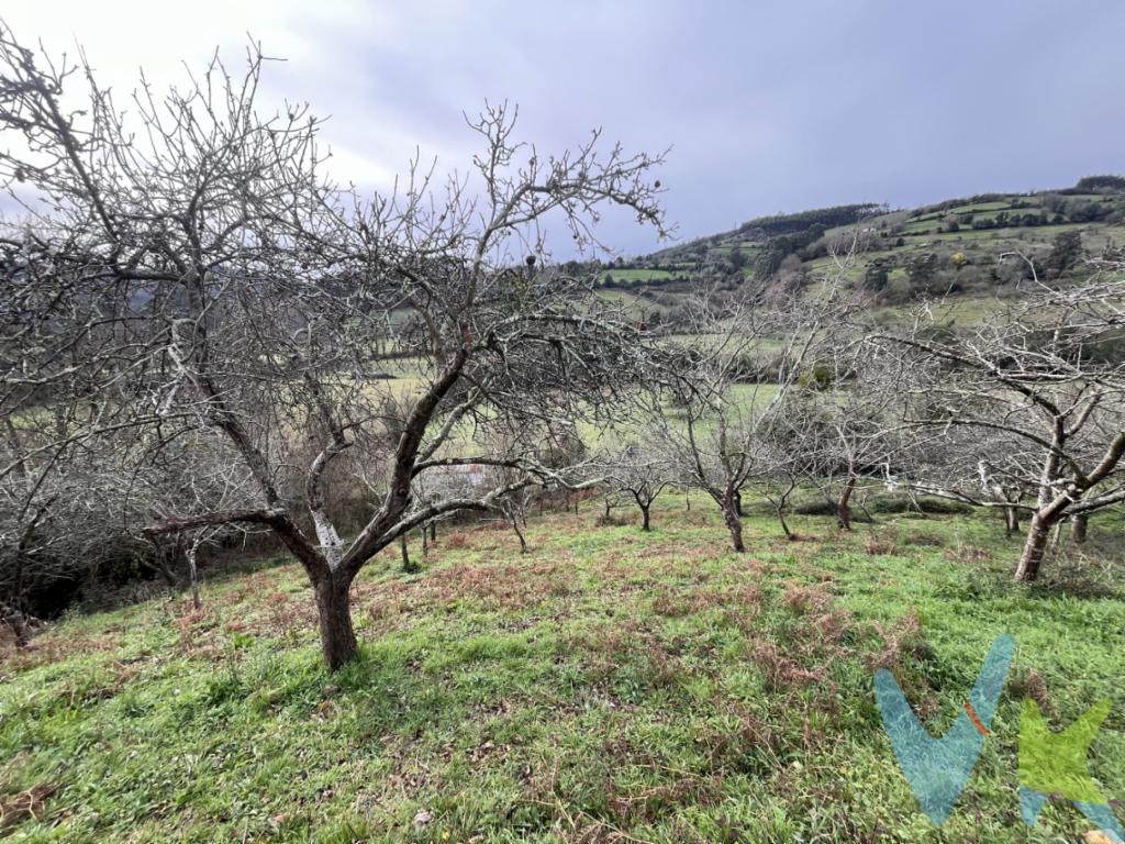 Finca con muy buen acceso de 2.500 m2 según escritura y 3.578 m2 según catastro, ubicada en la parroquia de Peón, en Villaviciosa, recientemente nombrado Pueblo Ejemplar de Asturias 2023. Cuenta con una magnífica orientación sur que la hace ideal para uso y disfrute y como plantación agrícola o arbórea. Actualmente tiene unos 50 árboles frutales, principalmente manzanos de tres variedades distintas. Ha sido utilizada también como explotación apícola.¿Te interesa? Llámanos.El precio no incluye el Impuesto de Transmisiones Patrimoniales ni los gastos de Notaría y Registro. 