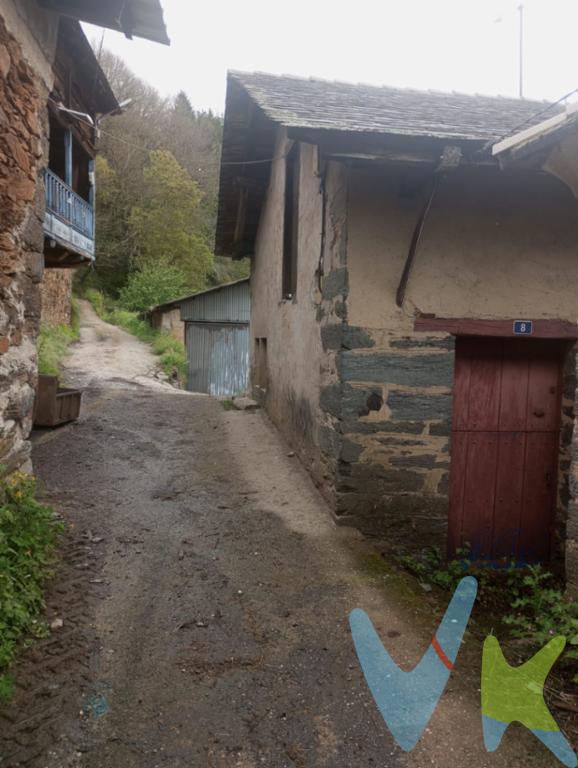 Se vende conjunto de dos casas y fincas en el pueblo de Villasonte, localidad perteneciente a la parroquia de San Martin del Valledor y ubicada a 10 kilómetros de Berducedo, a 34 de Pola de Allande, capital del concejo de Allande, y 130 de Oviedo.Se trata de dos construcciones independientes, formadas por muros de piedra, forjados de madera y cubierta de pizarra. Tienen los suministros de agua y luz dados de alta y los tejados estan reformados, con madera nueva de castaño y losas de pizarra. Interiormente ambas construcciones necesitan obras de acondicionamiento.Construcción 1: En ella se ubica la antigua vivienda familiar compuesta de tres plantas, la planta inferior alberga las antiguas cuadras y cuenta tambien con el antiguo horno de cocción del pan; la planta baja es la vivienda propiamente dicha compuesta de cocina, baño, zona de entrada, habitacion y sala y el desván en la planta alta, pudiendo unirse a la planta baja y acondicionarlo como zona de habitaciones. Cuenta con una superficie total según catastro de 192 metros.Construcción 2: Denominada cuarto de Riba y separada de la otra construcción por un camino público, se compone tambien de tres plantas, la planta baja es una antigua cuadra, la planta primera originalmente era un espacio destinado a habitacion complementaria de la vivienda familiar y el desván se utilizaba como pajar. Tiene servicios de agua y luz conectados a la otra vivienda. Cuenta con una superficie total según catastro de 76 metros cuadrados.Junto con las viviendas se venden 14 fincas rusticas con una superficie total aproximada de 32.000 metros cuadrados, oscilando las dimensiones de las fincas entre los 300 y los 6.500 metros.Allande es un municipio ubicado en la zona sur-occidental de Asturias, próxima a las provincias vecinas de León y Lugo, el sur-occidente es la joya todavia por descubrir de Asturias, cuenta con espectaculares paisajes entre montañas, y un entorno donde podremos disfrutar de la naturaleza y la cultura tradicional asturiana más autóctona y mejor conservada, la vivienda es ideal para disfrutarla como segunda vivienda en determinadas épocas de año, e incluso poder plantearte sacarle una buena rentabilidad como vivienda turística.Los paisajes del entorno, su fauna y flora, su gastronomía, y sus gentes hacen de este rincón un lugar privilegiado.Le animamos a que venga y descubra por sí mismo las enormes posibilidades que le brinda este inmueble. No deje que esta oportunidad se le escape y póngase en contacto con nosotros para concertar una visita.No incluidos gastos de notaría, registro de la propiedad e ITP.