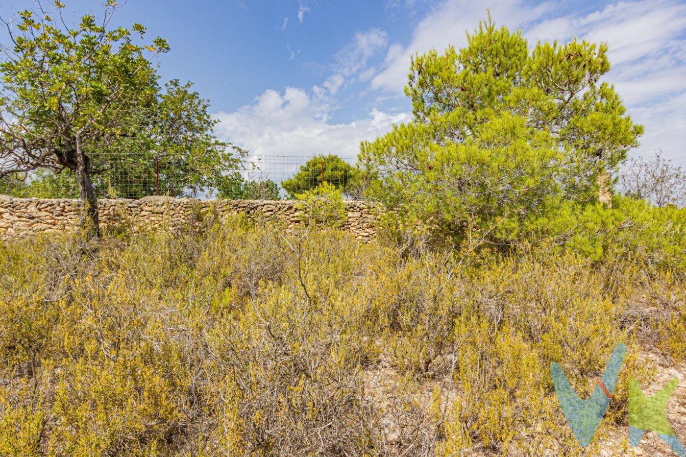 Te presentamos una oportunidad excepcional que puede convertirse en tu rincón de ensueño en Monserrat: un terreno de aproximadamente 27,000m2. . Este impresionante terreno, actualmente designado como agrícola pero con potencial para futuras adaptaciones, te brinda la posibilidad de construir tu propio chalet en medio de la naturaleza. Imagina tu casa ideal en este entorno rústico, rodeado de un paisaje de secano adornado con majestuosos algarrobos. Además, como un extra, se incluye una casa de campo que requiere reformas, ubicada en la Partida de la Fuente de Mañes. La parcela abarca una extensión de treinta y dos "anegadas," equivalente a dos hectáreas, sesenta y ocho áreas y cuarenta centiáreas. Para tu comodidad, también contarás con acceso a servicios de luz y agua, lo que facilitará la ejecución de tus futuros proyectos. Te extendemos una cordial invitación para que nos contactes y podamos coordinar una visita en persona. Esta será una oportunidad única para explorar de cerca todas las perspectivas que este terreno posee. Estamos entusiasmados por guiarte en esta exploración de una propiedad llena de potencial. Es importante tener presente que el precio de venta al público no incluye gastos asociados a la adquisición, tales como honorarios notariales, registrales, de gestión, entre otros. Asimismo, es relevante destacar que cualquier mobiliario, enseres, vehículos u otros bienes muebles que aparezcan en las fotografías no están contemplados en el precio de transmisión, a menos que se especifique de manera explícita en el anuncio. No dejes escapar esta asombrosa oportunidad de asegurar un terreno lleno de posibilidades. ¡No dudes en ponerte en contacto con nosotros ahora mismo y comienza a hacer tus sueños realidad!