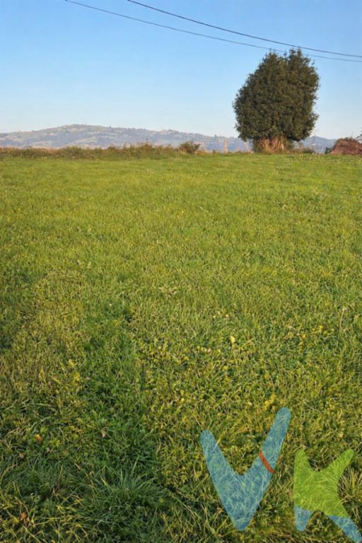 Tu Refugio a un Paso de TodoImagina un espacio solo tuyo. Un lugar para respirar hondo, cargar pilas y conectar con lo que de verdad importa.Esta no es una parcela cualquiera. Es tu oportunidad para:Perfecta para ti si... buscas un proyecto ilusionante, un lugar para la familia, o esa inversión en calidad de vida que tanto mereces. Es más que un terreno; es la primera piedra de un estilo de vida más tranquilo y auténtico.¿Te gustaría sentir el terreno bajo tus pies y imaginar las posibilidades? Te invitamos a visitarlo. Verás que, a veces, el mejor lujo es el silencio, el espacio y la libertad.Contacta con nosotros para concertar una visita y descubrir tu próximo refugio.Vivir a otro ritmo: Las tardes son para leer en una hamaca, para hacer una barbacoa con amigos sin horarios, o para observar las estrellas. Es el antídoto perfecto al estrés diario.Diseñar tu huerto, tu jardín o tu paraíso: siempre has imaginado: una casa con vistas, una zona de huerto, una piscina natural o simplemente un amplio jardín para que jueguen los niños (o los perros).Desconectar sin aislarte: A solo unos minutos en coche de la ciudad (Gijón, Oviedo, Pola de Siero), tienes lo mejor de los dos mundos. Trabajo, colegios, ocio... cerca cuando los necesitas. Y tu refugio de paz, aún más cerca.Contamos con más de 35 años de experiencia acreditada y nuestro objetivo es garantizarle un servicio de compra humano, ético, de calidad, fácil y seguro. Nuestro equipo lo integran agentes con la titulación AIR (Agente Inmobiliario Registrado), somos CRS (Council of Residential Specialist) y API. (Agente de la Propiedad Inmobiliaria Colegiado nº248). Contamos con un seguro de Caución que nos permite garantizar el depósito de las cantidades entregadas por nuestros clientes.Te ayudamos con la financiación con las mejores condiciones hipotecarias hasta el 100%.Consulte en nuestras reseñas de Google lo que opinan los clientes que ya han trabajado con nosotros.EL PRECIO NO INCLUYE IMPUESTO DE TRASMISIONES PATRIMONIALES, NOTARIA Y REGISTRO.