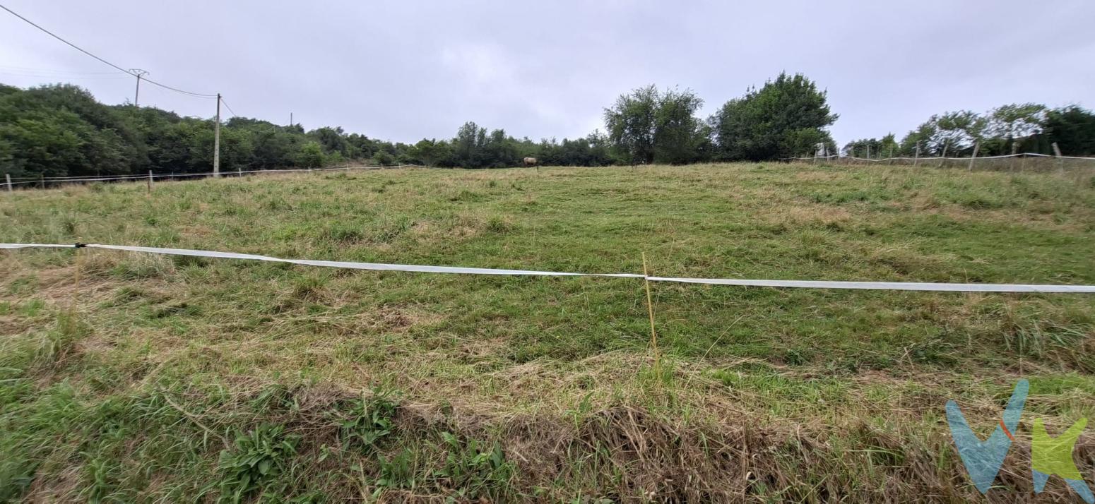 Se vende fantásticafinca rústica de 2.850 m², situada en el tranquilo y bonito pueblo de Valoria, en el municipio de Udías, rodeada de naturaleza y con una excelente orientación al sur que permite disfrutar del sol durante todo el día.La finca cuenta con buenos accesos y dispone de agua y luz a pie de finca.Existe la posibilidad de edificación, previa autorización de la CROTU y conforme a la normativa urbanística vigente, por lo que representa una interesante oportunidad para quienes buscan un lugar donde desarrollar un proyecto en un entorno natural privilegiado.Su ubicación combina perfectamente la tranquilidad del campo con la comodidad de tener todo cerca. Se encuentra a poca distancia de Cabezón de la Sal, donde encontrarás todos los servicios necesarios.  Además, cuenta con buena comunicación con la autovía, facilitando los desplazamientos, y está próxima a algunas de las playas más bonitas de Cantabria, como las de Comillas, Oyambre y San Vicente de la Barquera.Una finca ideal para quienes buscan naturaleza, tranquilidad, buena orientación y una ubicación estratégica, disfrutando de la calidad de vida del entorno rural sin renunciar a la cercanía de todos los servicios.Un lugar para desconectar, respirar naturaleza y hacer realidad tu proyecto personal en pleno corazón de Cantabria.