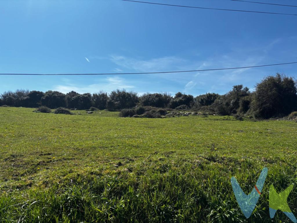 La finca rústica agraria protegida se encuentra ubicada en el pintoresco pueblo de Tagle, rodeada de exuberantes paisajes naturales y tierras fértiles. Con una calificación agrícola destacada, su uso agrario, no permite la colocación de caseto de aperos, Mobil Home, etc.....esta propiedad es ideal para aquellos que buscan cultivar la tierra y disfrutar de la tranquilidad del campo.La finca cuenta con 2080 metros cuadrados de tierra aptas para la agricultura y la ganadería, permitiendo a los propietarios cultivar una variedad de productos y criar animales. El clima y el suelo de la zona son perfectos para el cultivo de frutas, verduras y granos, lo que garantiza una producción abundante y de alta calidad.Además de su potencial agrícola, la finca ofrece un entorno idílico para aquellos que buscan escapar del ajetreo de la ciudad y conectarse con la naturaleza. Los alrededores de la propiedad están llenos de senderos para caminar, ríos para pescar y vistas panorámicas para disfrutar.En resumen, esta finca rústica en Tagle es una oportunidad única para aquellos que buscan combinar la agricultura con la tranquilidad del campo. Con su calificación agrícola destacada y su entorno natural impresionante, esta propiedad es ideal para aquellos que buscan una vida más auténtica y conectada con la tierra.