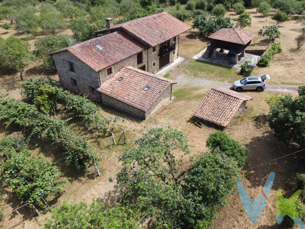 Conjunto único, a 20 minutos de Gijón, a 10 minutos de Villaviciosa. Quintana. Casa Mariñana en Argüero de piedra con 23.000 m2 de Finca cerrada, de 2 plantas, reformada, estructura de hormigón, tejados nuevos, interiores bien, anexo almacén con altillo, garaje, hórreo,  todo en muy buen estado, para entrar a vivir:  gran finca cerrada de 23.000 m2 con manzanos, buen acceso, conjunto único, a un paso de la costa y playas, infórmese! 