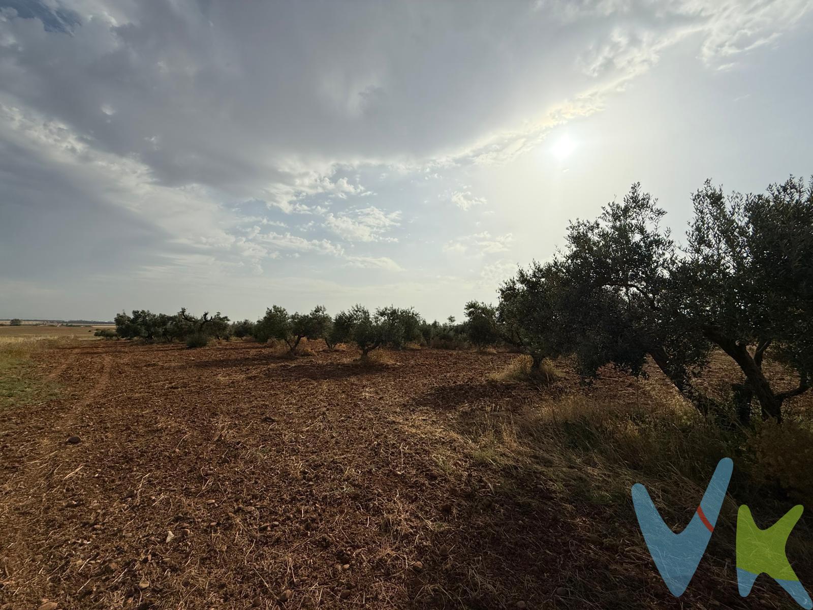 A tan sólo 25 minutos de Sevilla, ponemos a la venta una parcela rústica de Olivar con 13.780m2, en la que encontrarás unos 300 olivos de aceitunas gordales y manzanilla. En los últimos años ha estado en uso para verdeo y en años anteriores para aceite. Posibilidad de pozo. Póngase en contacto con nosotros y le acompañamos a visitarlo!!. Informamos a nuestros clientes que el precio de venta no incluye lo siguiente: Honorarios de la agencia inmobiliaria, Impuestos (I.T.P., I.V.A. o A.J.D., en su caso) ni otros gastos de la compraventa (gastos de Registro de la Propiedad, Notaría, Gestoría ni de posible Financiación). Documento F.I.S. a disposición del consumidor según Decreto 218/2005 Junta de Andalucía. 