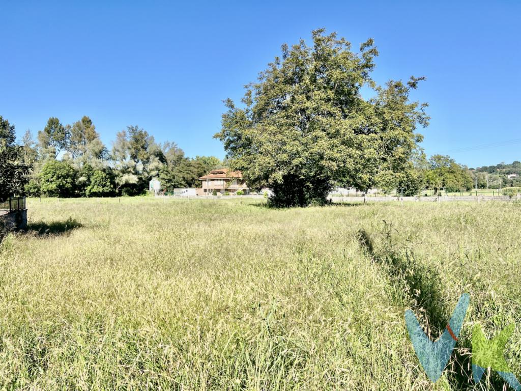 En la localidad de La Encina,  municipio de Santa María De Cayón, a escasos 600 metros del centro de Sarón y a menos de 20 minutos de Santander y 15 minutos de Torrelavega, disponemos de esta espectacular parcela urbana  de 900 m2. Se trata de un terreno totalmente llano, soleado y con todos los servicios a pie de finca; además, cuenta con perfecto acceso hasta la misma. Está lista para construir la vivienda de sus sueños. En un entorno de viviendas unifamiliares y cerca de todos los servicios, como colegio, autobús, parques, supermercados, tiendas etc...., Infórmese en nuestras oficinas.