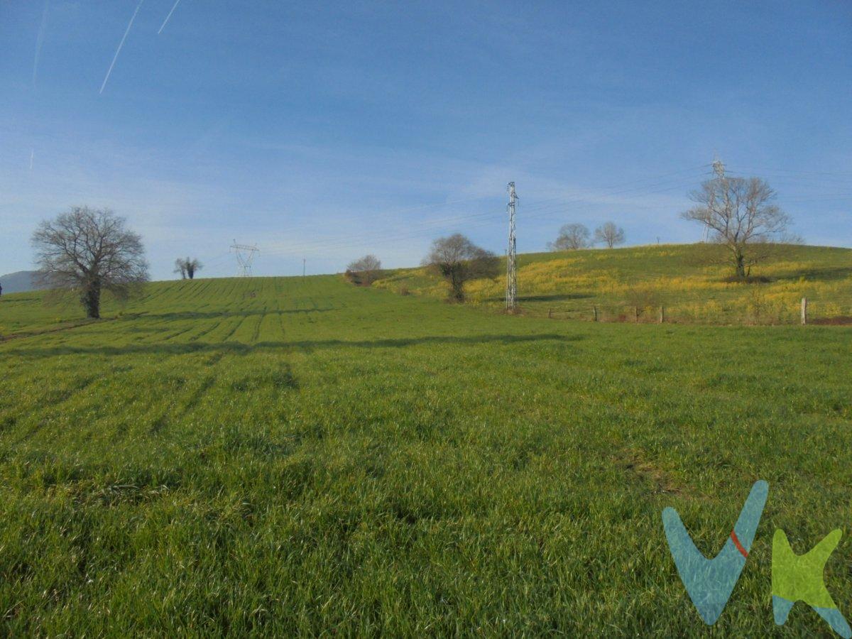 Terreno rustico con una superficie de 19.173 m2 completamente llano.  Ideal para agricultura o ganadería, agua y luz junto a la finca.  Llamanos para concertar una visita.  . Los impuestos, gastos de notaría y registro no están incluidos en el precio