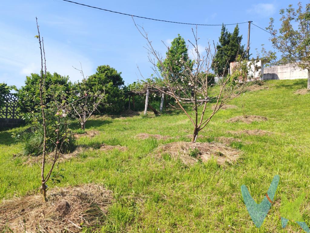 Finca edificable en venta zona Alto la Madera Siero.La ubicación es privilegiada, ya que se encuentra en San Martín de Anes, una localidad que combina la comodidad de vivir en un entorno rural con la cercanía a importantes servicios y comodidades. Además, cuenta con excelentes conexiones viarias que permiten el acceso rápido y cómodo a otras poblaciones cercanas.La finca en venta es amplia, ideal para aquellos que buscan construir su hogar a medida. Con sus 300 metros cuadrados edificables, ofrece la posibilidad de diseñar y construir la casa de tus sueños, adaptada a tus gustos y necesidades.Gran variedad de árboles frutales. Muy buena orientación. Impresionantes vistas.A tan solo 15 minutos de Gijón. 10 minutos de Pola de Siero y 20 de Oviedo.  Una de las mayores ventajas de esta finca es el agua y la luz que se encuentra en el camino de entrada. Esta característica es especialmente valorada en zonas rurales, donde en ocasiones es complicado y costoso acceder a este tipo de servicios básicos. Aquí, podrás disfrutar de todas las comodidades de la vida moderna sin renunciar a la tranquilidad que ofrece vivir en el campo.Además, la finca está cerrada con muro de piedra y seto, lo que garantiza la privacidad y seguridad de sus propietarios. Esto es especialmente importante para aquellos que buscan un lugar donde desconectar del bullicio de la ciudad y disfrutar de la tranquilidad en plena naturaleza.No pierdas la oportunidad de visitar esta finca, estamos seguros de que quedarás impresionado con todas sus características y posibilidades. Para más información o concertar una visita, no dudes en contactar con nuestro agente. quien estará encantado de atender tus consultas y resolver cualquier duda que puedas tener.En resumen, esta finca edificable en venta en San Martín de Anes, es una oportunidad única para aquellos que buscan construir su hogar a medida, en un entorno tranquilo y rodeado de naturaleza. No pierdas la oportunidad de visitarla! y comienza a hacer realidad el hogar de tus sueños. 