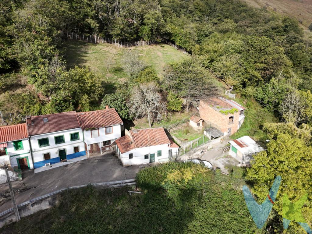Se vende casa para reformar zona Olloniego Oviedo. Oportunidad única para adquirir casa en el encantador pueblo de Olloniego. Con un total de 136 metros cuadrados construidos y 122 metros útiles, esta vivienda proporciona el espacio perfecto para disfrutar de la tranquilidad del entorno rural sin renunciar a la comodidad.La casa consta de dos plantas:La planta baja tiene una superficie construida de sesenta y ocho metros cuadrados, de los cuales treinta y tres metros cuadrados corresponden a la vivienda y los restantes treinta y cinco metros cuadrados a almacén.La planta primera tiene una superficie construida de unos treinta y seis metros cuadrados.Tiene luz y agua.A tan solo 7 minutos en coche del centro de Olloniego. A 19 minutos de Oviedo, Langreo y Mieres. A 35 minutos de Gijón.Olloniego, con su encanto y belleza natural, es la ubicación ideal para quienes buscan un estilo de vida tranquilo y relajado. Los paisajes circundantes invitan a largas caminatas y actividades al aire libre, todo mientras se disfruta de la paz y la serenidad que caracteriza a este pueblo pintoresco. Además, la proximidad a servicios básicos y la facilidad de acceso a las principales carreteras aseguran que las necesidades cotidianas siempre estén a mano.Tomar la decisión de visitar esta casa es el primer paso hacia la posibilidad de estableciendo un hogar en plena naturaleza y rodeado de belleza natural. Le invitamos cordialmente a visitar esta singular propiedad, para que pueda experimentar de primera mano todo lo que tiene para ofrecer. Sin lugar a duda, ésta es no solo una casa, sino un hogar lleno de potencial esperando ser descubierto.Opción finca rustica independiente a la casa con una superficie de cuatro mil ochocientos sesenta y cuatro metros cuadrados. 
