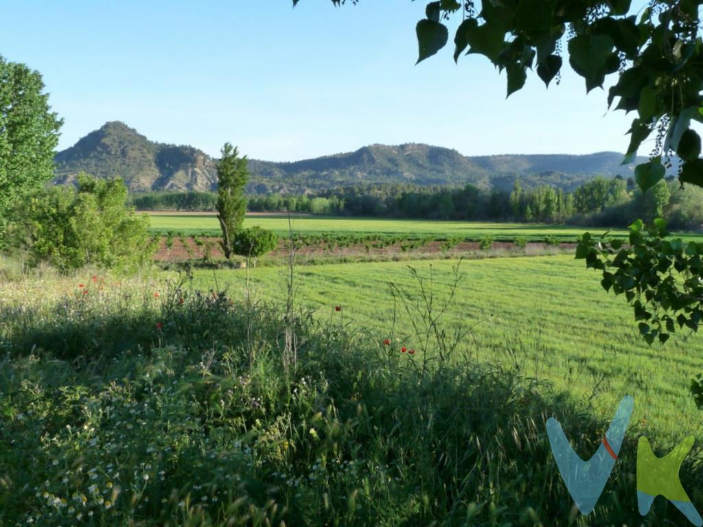 Finca ideal para proyecto de Turismo Rural, Ganadería, Agricultura, etc....Dispone de 25 has. de regadío y 25 has. de secano.La finca La Golfilla está situada en un valle con un entorno natural de gran belleza, bañado por el río Cabriel, en la Comunidad de Castilla-La Mancha, en la provincia de Albacete, en el término municipal de Balsa de Ves. Apenas cuatro kilómetros la separan de la Comunidad Valenciana, concretamente de la localidad de Casas del Río, que forma parte del municipio de Requena.        La totalidad de la propiedad es de  72,5 hectáreas, de la cuales 50 hectáreas son de cultivo y su longitud aproximada a lo largo del rio Cabriel es de unos 4 km.         Almacén de 40 m2 con sistema de riego e instalación automatizada con programación de aspersión y pivotes en 8 Hectáreas y riego por goteo en 6 Hectáreas.           Con concesión de agua de 113.000 m3/año (hasta el año 2060 SIN COSTE).      Balsa de riego de 3.000.000 de litros que se llena por gravedad.         La aldea dispone de otra balsa de abastecimiento de 100.000 litros para agua de consumo.       Tiene varias viviendas para rehabilitar que antiguamente formaban una aldea y están registradas catastralmente (La principal reformada y el resto para derribar y construir)          La vivienda principal esta actualmente en uso con 7 habitaciones, 3 baños, 1 aseo, 2 salones, cocina comedor, varias terrazas, zona de barbacoa. Instalación de luz a través de placas solares, e internet por satélite. Almacén de 400 m2.       Situada a orilla del río Cabriel en zona LIC y ZEPA junto al parque de las Hoces del Cabriel, sin contaminación lumínica ni acústica.  Caza: predomina el Jabalí, cabra montesa, ciervo, paloma torcaz y perdiz.        Ornitología: 58 aves censadas en la zona.        La oferta está sujeta a cambios de precio o retirada del mercado sin previo aviso.     Este anuncio en su conjunto, incluyendo textos, fotos, imágenes o cualquier otro contenido de este, no es vinculante dado que la información es ofrecida por terceros y puede contener errores. Se muestra a título informativo y no contractual.               Por mandato expreso del propietario, comercializamos este inmueble en exclusiva, lo que le garantiza el acceso a toda la información, a un servicio de calidad, un trato fácil, sencillo y sin interferencias de terceros. Por este motivo, se ruega no molestar al propietario, a los ocupantes de la propiedad o a los vecinos. Si usted es agente inmobiliario y tiene un cliente para este inmueble, llámenos: estaremos encantados de colaborar.    