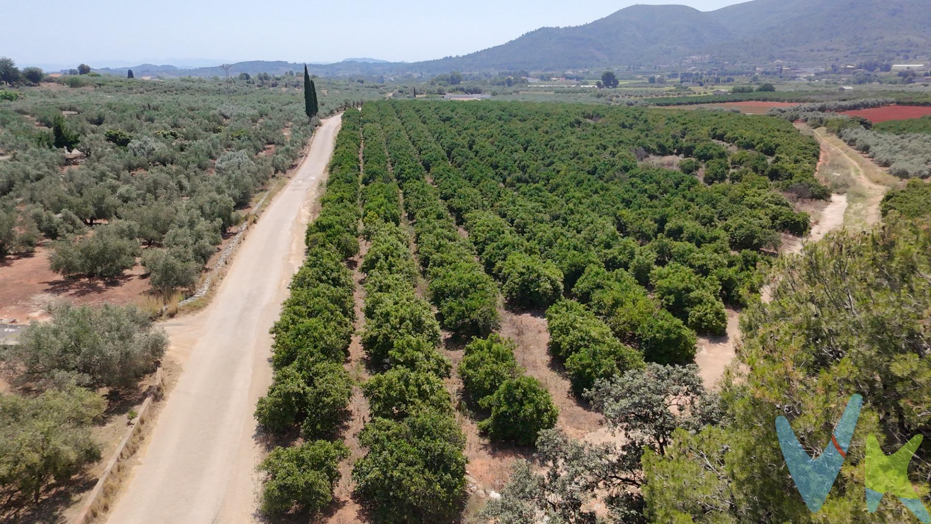 Terreno rústico en producción con vivienda auxiliar – Enguera (Valencia). 📍 Polígono 6, paraje Charral | 35.597 m² | Producción activa | Agua en propiedad. ¿Buscas una finca en plena producción y con excelente potencial?. Te presentamos esta parcela rústica de 35.597 m² en el término de Enguera, con cultivo de naranjos variedad Navel Clavel Late y toda la infraestructura preparada para seguir generando rendimiento desde el primer día. Características principales:. Superficie: 35.597 m². Producción agrícola activa (100 kg por árbol) 2400 naranjos. 60 acciones de agua. Riego por goteo con instalación en funcionamiento. Caseta con placas solares para mantenimiento. Acceso asfaltado hasta la finca. Electricidad próxima para conexión. Rentabilidad potencial por arrendamiento. Ventajas destacadas:. Clima ideal: buena altitud, mínimo riesgo de heladas, orientación soleada. Producción inmediata, sin necesidad de inversión inicial. Posibilidad de construcción de vivienda rústica (según normativa local). Agua garantizada. 🌅 Rodeado de naturaleza, bien comunicado y con posibilidades reales tanto para uso propio como para inversión agrícola o recreativa. 📩 Solicita ya más información, Una oportunidad como esta no se riega todos los días 🍊. La descripción del presente inmueble e imágenes tienen mero carácter informativo y en ningún caso carácter contractual, pudiendo ser modificados por la inmobiliaria comercializadora sin que ello implique responsabilidad alguna frente a terceros. En el precio de venta a público, esta propiedad NO incluye los gastos de adquisición (Notario, registro, gestión, honorarios, etc…). 