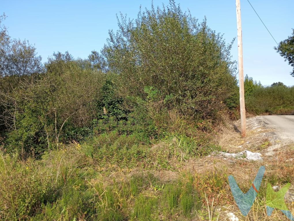 ¿Buscas un rincón verde donde conectar con la tierra? Esta parcela rústica se encuentra en Novales, uno de los pueblos con más encanto de Cantabria, a pocos minutos de la costa cántabra y rodeada de un entorno natural privilegiado.Con una superficie de algo más de dos mil metros cuadrados, ideal para uso agrícola o ganadero, esta finca ofrece múltiples posibilidades: desde cultivar una huerta con tus propias hortalizas y árboles frutales, hasta desarrollar un pequeño proyecto rural orientado a la cría de ganado.Disfruta del aire puro, y de la satisfacción de cosechar tus propios alimentos. Una oportunidad perfecta para quienes sueñan con una vida lo más natural posible o buscan invertir en un espacio con alma.Entorno tranquilo, con vistas despejadasAcceso cómodo desde vía principalTerreno fértil y bien orientado.Ven a verlo con nosotros!