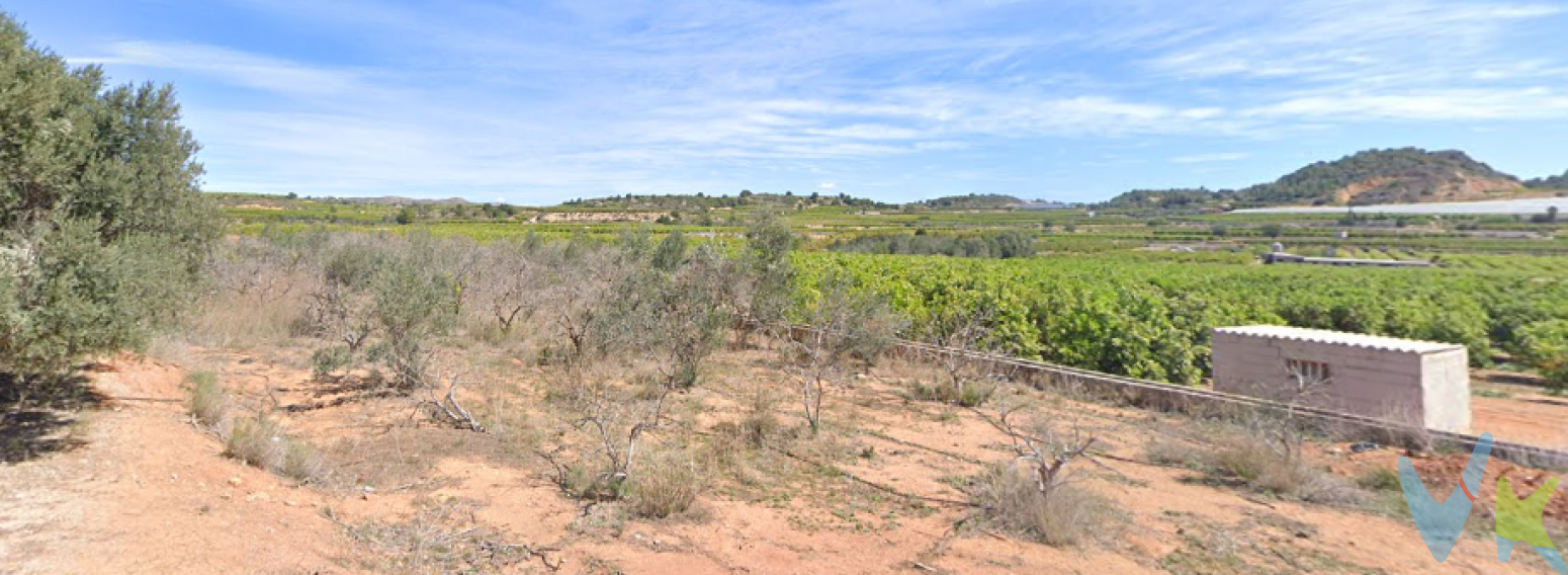 Presentamos este terreno en venta en la encantadora localidad de Pedralba, provincia de Valencia. El terreno es Rustico, no urbanizable de uso agrario. Tiene 8 acciones de pozo