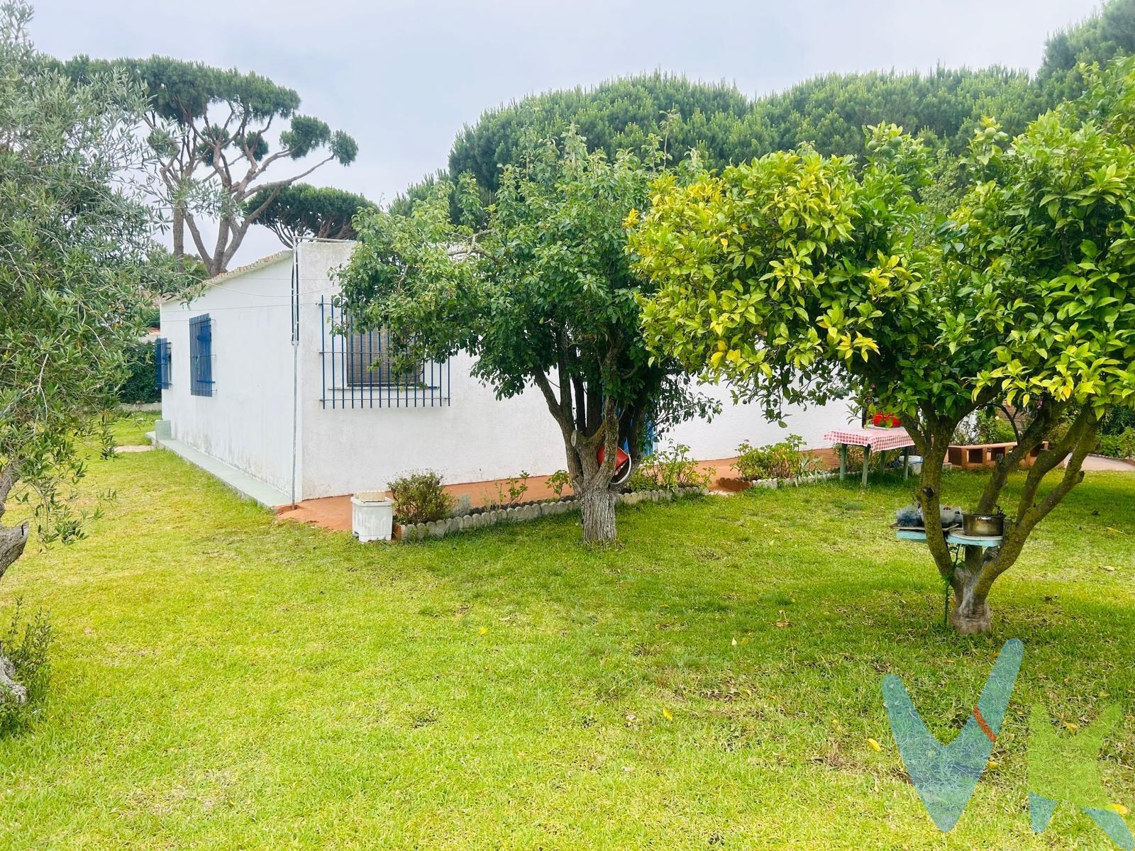 Casa de campo en Chiclana situada en la zona del Pago Melilla, a 2,5 Km de la playa La Barrosa, distribuida en 3 amplios dormitorios, baño, salón comedor, cocina y porche, 118 m2 construidos y 2.500 metros de parcela. En el exterior de la parcela nos encontramos con 2 amplios trasteros, jardín y arboles frutales. (Gastos de notaría, registro, impuestos y honorarios de la agencia, no incluidos en el precio).