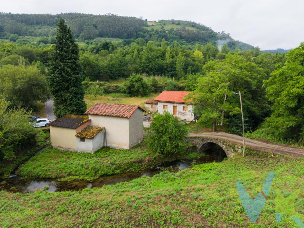 Presentamos esta finca en un entorno tranquilo, natural y con vistas despejadas.La propiedad está formada por varias parcelas, con una superficie total cercana a los 3.000 m². Una de las fincas cuenta con aproximadamente 1.200 m², otra con algo más de 800 m², además de una pequeña zona vinculada a una construcción existente.Se trata de una finca no edificable, ideal para quienes buscan un espacio al aire libre en Asturias para uso recreativo, huerto, zona de descanso, jardín o disfrute del entorno rural.Uno de sus principales atractivos es su ubicación, en una zona rodeada de naturaleza, con buena orientación y vistas abiertas al entorno y a la montaña.La finca ofrece un espacio amplio y versátil para quienes quieren desconectar, pasar tiempo al aire libre o desarrollar un uso vinculado al terreno.Una opción interesante para quienes buscan una finca en Villaviciosa, con amplitud, tranquilidad y buena conexión.El precio de venta no incluye los gastos e impuestos derivados de la operación. Corresponden al comprador el pago del Impuesto sobre Transmisiones Patrimoniales (ITP), calculado sobre el valor más alto entre el precio de venta y el valor de referencia catastral, así como los honorarios de notaría y registro según aranceles oficiales, teniendo el comprador libertad para elegir notario. Para consultar los porcentajes del ITP en Asturias puede hacerlo a través de la web oficial de servicios tributarios del Principado de Asturias https://sede.tributasenasturias.es/sites/sede/default/es_ES/Que-quiereshacer/Transmisiones-Patrimoniales-y-AJD. Asimismo, el comprador asumirá los gastos de tasación y costes bancarios si precisa hipoteca, junto con unos honorarios de mediación del 2% más IVA, con un minimo de 2.000,00 mas IVA. Por su parte, el vendedor asumirá el pago de la plusvalía municipal y los honorarios de intermediación. Este anuncio es meramente informativo y los interesados tienen derecho a solicitar la documentación adicional del inmueble conforme a la normativa vigente.