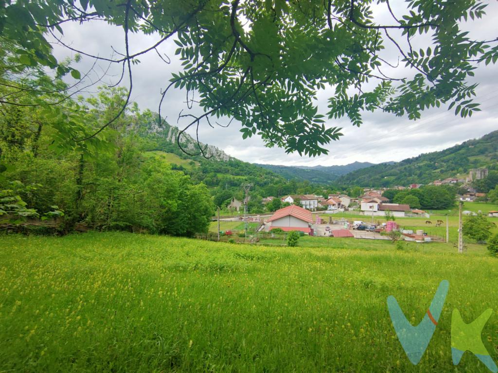 Finca en Laviana, en la zona de El Condado, con una superficie de 3.075 m².
Se trata de una propiedad que destaca por su excelente acceso, con entrada cómoda y directa, lo que facilita cualquier uso, tanto particular como de inversión.
Ofrece vistas despejadas y un entorno abierto que aporta tranquilidad, luminosidad y un valor añadido cada vez más demandado.
Ubicada a escasos minutos del Parque Natural de Redes, Reserva de la Biosfera, en un enclave natural de gran atractivo paisajístico.
Además, cuenta con muy buena comunicación con los principales núcleos urbanos de la zona, combinando perfectamente la privacidad del entorno rural con la cercanía a servicios.
Una finca con una ubicación estratégica, fácil acceso y un entorno natural de alto valor.
Una oportunidad para quienes saben apreciar el valor de la tierra bien situada.