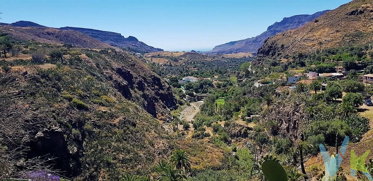 . ¡Descubre este encantador terreno situado en la majestuosa montaña de San Bartolomé de Tirajana! Con una extensión de olivos y un invernadero anexo, este terreno ofrece un escenario idílico para aquellos que buscan vivir en armonía con la naturaleza. Además, cuenta con un cuarto apero equipado con luz y agua, proporcionando todas las comodidades necesarias para aprovechar al máximo esta hermosa propiedad.