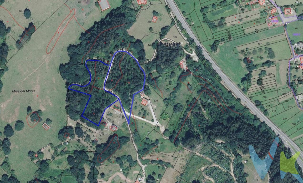 Se ofrecen dos fincas forestales contiguas situadas en el término municipal de Los Corrales de Buelna, con acceso mediante pista forestal, lo que garantiza una entrada cómoda para labores de mantenimiento o aprovechamiento forestal.Ambas fincas presentan una vegetación mixta, predominando los eucaliptales de tercera poda, en distintas fases de crecimiento, acompañados de especies autóctonas y monte bajo.Finca 1: Con una superficie de 5.473 m² según datos catastrales.Finca 2: Con una superficie de 5.851 m² según datos catastrales.La ubicación contigua de las fincas ofrece la posibilidad de gestionarlas como una única unidad forestal, favoreciendo su rentabilidad y facilitando trabajos forestales o proyectos de conservación.Entorno natural tranquilo, ideal tanto para la explotación forestal como para fines de reforestación y conservación.