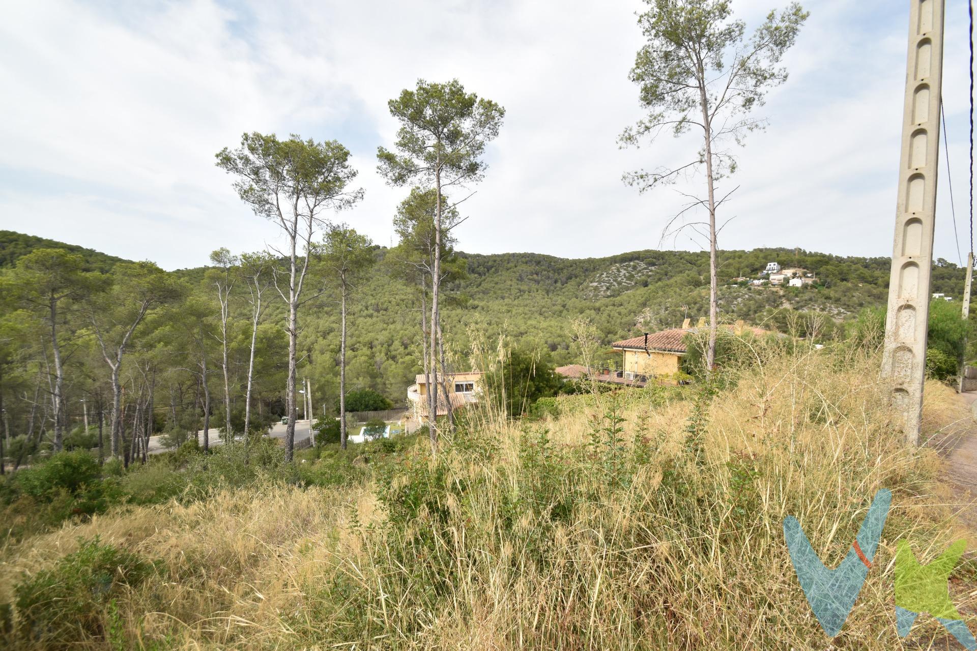 ¿Sueña con construir la casa de sus sueños, totalmente a su medida, en un entorno de paz y belleza? ¡Esta es su oportunidad!. Superficie Ideal de 760 m² de terreno urbano listo para edificar en una ubicación premium inmejorable en la consolidada urbanización de Mas Mestre. Con vistas y tranquilidad, disfrute de un espacio amplio, ideal para un proyecto de chalet exclusivo a los cuatro vientos con un diseño totalmente libre.Diseñe la vida que desea, este solar le ofrece el lienzo perfecto para crear una espectacular casa con amplios ventanales, un gran jardín privado y zonas de ocio, la piscina que siempre ha querido para los veranos y todo el espacio interior y exterior que necesite para su familia. ¡No compre una casa, construya su hogar!. Mas Mestre es una urbanización residencial, muy tranquila y bien comunicada, tiene acceso directo a la carretera C-15B que la une con Sant Pere de Ribes y Canyelles. En la población hay guarderías, escuela y instituto, consultorio médico y supermercado, farmacia, campo de fútbol y todo, a 5 minutos en coche de donde se encuentra situado el terreno. Pertenece al término municipal de Olivella (comarca del Garraf), y se sitúa en el centro del Parc Natural del Garraf, solo a 30' minutos de Barcelona capital y a10' minutos de Sitges. Dispone de transporte público. Llámenos hoy mismo y le ayudaremos a dar el primer paso hacia su nueva vida en Mas Mestre. El precio no incluye impuestos (ITP, IVA y AJD), ni los gastos de notario ni los de registro.