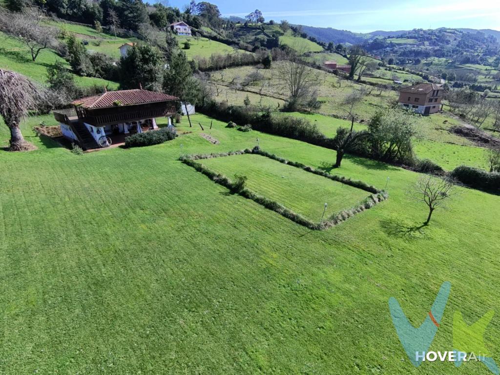  *** Parcelable en dos  ,Descubre una Oportunidad Única en Gijón: Finca en Venta en la Exclusiva Zona de Deva ***Si busca un espacio con privacidad, posibilidades de construcción y una ubicación inmejorable, esta finca en la distinguida zona de Deva, Gijón, es la opción ideal. Este solar se presenta como una excelente oportunidad para materializar sus sueños de construir la casa perfecta en un entorno natural, sin sacrificar las comodidades de la ciudad.**Amplitud y Libertad para Diseñar**Destacando su amplia superficie, este terreno ofrece 300 metros cuadrados edificables, brindándole la libertad de diseñar la casa que siempre ha deseado. Imaginé una residencia donde los espacios amplios y luminosos se entrelazan con el entorno natural circundante, ofreciendo un refugio de tranquilidad en el mismo Gijón.**Accesibilidad y Comodidad en Cada Esquina**Una ventaja significativa de esta finca es su proximidad al transporte público. Con una parada de autobús cercana, nunca estará desconectado del corazón urbano y podrá disfrutar de la comodidad de un acceso rápido y sencillo a los servicios y ofertas culturales que Gijón tiene para ofrecer. El transporte nunca será un problema, permitiéndote lo mejor de ambos mundos: la serenidad de la naturaleza y las ventajas de la vida urbana.**Infraestructura Completa para Construir sin Preocupaciones**La finca cuenta con alcantarillado, un detalle crucial que facilita su potencial desarrollo y ahorra costos adicionales de infraestructura. Esta característica le garantiza un proceso de construcción más rápido y sencillo, permitiéndole enfocarse en los aspectos más importantes del diseño de su nuevo hogar.**Entorno Privado y Seguro**El terreno se encuentra cerrado, ofreciendo privacidad y seguridad desde el primer día. Su familia disfrutará de un entorno seguro donde la naturaleza y la tranquilidad son las protagonistas. Cada visita a esta finca le hará sentir que está en un oasis personal, lejos del ritmo frenético de la ciudad, a pesar de estar tan cerca de ella.**Una Inversión en Calidad de Vida**Invertir en esta finca no solo es adquirir un terreno; es asegurarse una calidad de vida inigualable. La tranquila área de Deva es conocida por su belleza natural y ambiente sereno, haciendo de este un lugar donde el tiempo parece detenerse y la vida transcurre a un ritmo más pausado. Además, la revalorización de esta zona es una garantía de que su inversión crecerá con el tiempo.**El Futuro que Siempre Soñó**Visualice un entorno donde pueda disfrutar de una vida saludable al aire libre, con la libertad de personalizar cada detalle a su gusto. Esta finca es la oportunidad perfecta para quienes sueñan con dejar su sello en un espacio único.Solicite una visita para experimentar por sí mismo el potencial de este hermoso lugar. No deje pasar la oportunidad de adquirir una de las pocas parcelas disponibles en esta prestigiosa zona. Su futuro hogar le espera en Deva, la joya de Gijón. Conozca un espacio donde cada día se dibuja con el trazo de sus sueños y la libertad de un entorno incomparable. 
