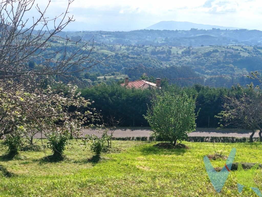 Finca edificable en venta zona Alto la Madera Siero.La ubicación es privilegiada, ya que se encuentra en San Martín de Anes, una localidad que combina la comodidad de vivir en un entorno rural con la cercanía a importantes servicios y comodidades. Además, cuenta con excelentes conexiones viarias que permiten el acceso rápido y cómodo a otras poblaciones cercanas.La finca en venta es amplia, ideal para aquellos que buscan construir su hogar a medida. Con sus 300 metros cuadrados edificables, ofrece la posibilidad de diseñar y construir la casa de tus sueños, adaptada a tus gustos y necesidades.Gran variedad de árboles frutales. Muy buena orientación. Impresionantes vistas.A tan solo 15 minutos de Gijón. 10 minutos de Pola de Siero y 20 de Oviedo.  Una de las mayores ventajas de esta finca es el agua y la luz que se encuentra en el camino de entrada. Esta característica es especialmente valorada en zonas rurales, donde en ocasiones es complicado y costoso acceder a este tipo de servicios básicos. Aquí, podrás disfrutar de todas las comodidades de la vida moderna sin renunciar a la tranquilidad que ofrece vivir en el campo.Además, la finca está cerrada con muro de piedra y seto, lo que garantiza la privacidad y seguridad de sus propietarios. Esto es especialmente importante para aquellos que buscan un lugar donde desconectar del bullicio de la ciudad y disfrutar de la tranquilidad en plena naturaleza.No pierdas la oportunidad de visitar esta finca, estamos seguros de que quedarás impresionado con todas sus características y posibilidades. Para más información o concertar una visita, no dudes en contactar con nuestro agente. quien estará encantado de atender tus consultas y resolver cualquier duda que puedas tener.En resumen, esta finca edificable en venta en San Martín de Anes, es una oportunidad única para aquellos que buscan construir su hogar a medida, en un entorno tranquilo y rodeado de naturaleza. No pierdas la oportunidad de visitarla! y comienza a hacer realidad el hogar de tus sueños. 