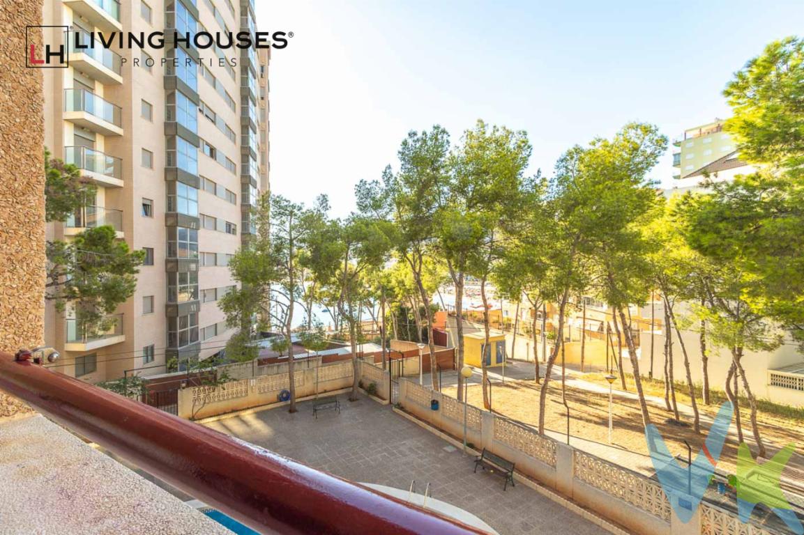  ¡Oportunidad única en Oropesa del Mar! Presentamos este encantador apartamento en venta situado en la deseada zona de Playa de la Concha. Consta de dos acogedoras habitaciones, ideal para parejas, familias pequeñas o como una excelente inversión vacacional. Este inmueble, ubicado en la segunda planta de un edificio construido en 1989, cuenta con 45 metros cuadrados útiles y un total de 61 metros cuadrados construidos.El amplio y luminoso salón es perfecto para disfrutar de agradables momentos en familia y conecta con una encantadora terraza donde podrá relajarse al atardecer con vistas despejadas. La terraza resulta ideal para disfrutar al aire libre, tomar el desayuno en un entorno tranquilo o simplemente leer un buen libro bajo el sol. La cocina, completamente equipada con electrodomésticos, facilita la vida diaria, permitiendo preparar deliciosas recetas con total comodidad.La propiedad, completamente amueblada, está lista para entrar a vivir, evitando preocupaciones a los nuevos propietarios o arrendatarios, haciendo que cada estancia sea aún más confortable.Entre sus comodidades, esta vivienda cuenta con ascensor, lo que facilita el acceso a personas de todas las edades, así como aquellos que tengan movilidad reducida. Además, forma parte de un edificio que dispone de una refrescante piscina comunitaria, perfecta para esos días calurosos de verano donde un baño resulta indispensable.La ubicación de este piso es inmejorable. Situado junto a la reconocida Playa de la Concha, uno de los lugares más atractivos y con encanto de Oropesa del Mar. El entorno es adecuado tanto para residentes habituales como para turistas que buscan un lugar donde descansar y desconectar. La zona cuenta con buena comunicación; la proximidad de paradas de tren y autobús hacen que los desplazamientos sean sencillos y efectivos, conectando rápidamente con otros puntos de interés de la ciudad y alrededores.A pocos minutos a pie, encontrará una variedad de servicios como supermercados, restaurantes de diversas gastronomías y tiendas locales que complementan la experiencia de vivir en este lugar tan especial.La propiedad, además de ser una fantástica elección para establecerse, posee un gran potencial como inversión de alquiler vacacional, dada la alta demanda en la zona por turistas que cada año eligen la Costa del Azahar para sus vacaciones.Este piso es, sin duda, una oportunidad que no puede dejar pasar. Si está interesado en vivir en un entorno privilegiado, rodeado de comodidades y cerca del mar, le invitamos a visitar esta maravillosa propiedad. No pierda la ocasión de conocer más sobre esta oferta única y compruebe por sí mismo todas las ventajas que este piso tiene para ofrecer. Le estamos esperando para mostrarle su posible nueva vivienda o inversión ideal. No dude en acudir a una visita, su próxima gran decisión podría estar aquí en Oropesa del Mar-Orpesa. 