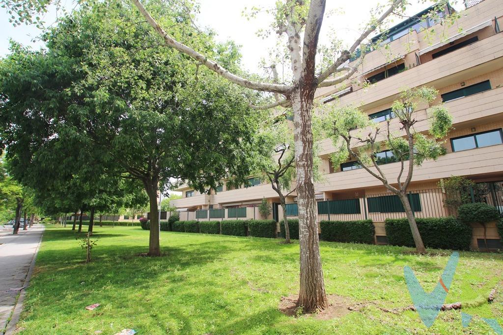 Fantástico piso situado en una de las mejores zonas de la ciudad, ideal para quienes buscan confort y calidad. Con una superficie total de 62,19 metros cuadrados, esta propiedad cuenta con un acogedor dormitorio y dos baños completos, uno de ellos tipo suite. Además dispone de un encantador patio exterior que aporta luz natural al ambiente. La cocina americana está totalmente equipada con electrodomésticos modernos y acabados premium como suelos de tarima flotante, ventanas climalit que garantizan el aislamiento térmico y acústico necesario; así como puertas interiores fabricadas en madera de haya. Este inmueble se encuentra a pocos metros de Hipercor y ofrece fácil acceso a paradas de autobús cercanas, colegios reconocidos e innumerables parques ideales para disfrutar del aire libre junto con diversas opciones recreativas locales. Entre los extras incluidos, destacan la plaza de garaje y trastero,  ambos en la planta sótano . Los residentes también podrán beneficiarse del uso exclusivo tanto piscina comunitaria refrescante durante los meses calurosos ,como pistas deportivas dedicadas específicamente pádel y tenis ; sistema centralizado aire acondicionado asegurando comodidad todo el año además armarios empotrados contribuyendo organización óptima espacios personales . Sin lugar a dudas este es un hogar perfecto donde vivir o invertir por sus características inigualables. De acuerdo con lo prevenido en el Decreto 218/2005, de 11 de octubre, se informa al cliente que los Gastos Notariales, Registrales, impuesto de transmisiones (ITP) o I.V.A., Honorarios de intermediación, Gastos financieros, y otros gastos inherentes a la compraventa no están incluidos en el precio.