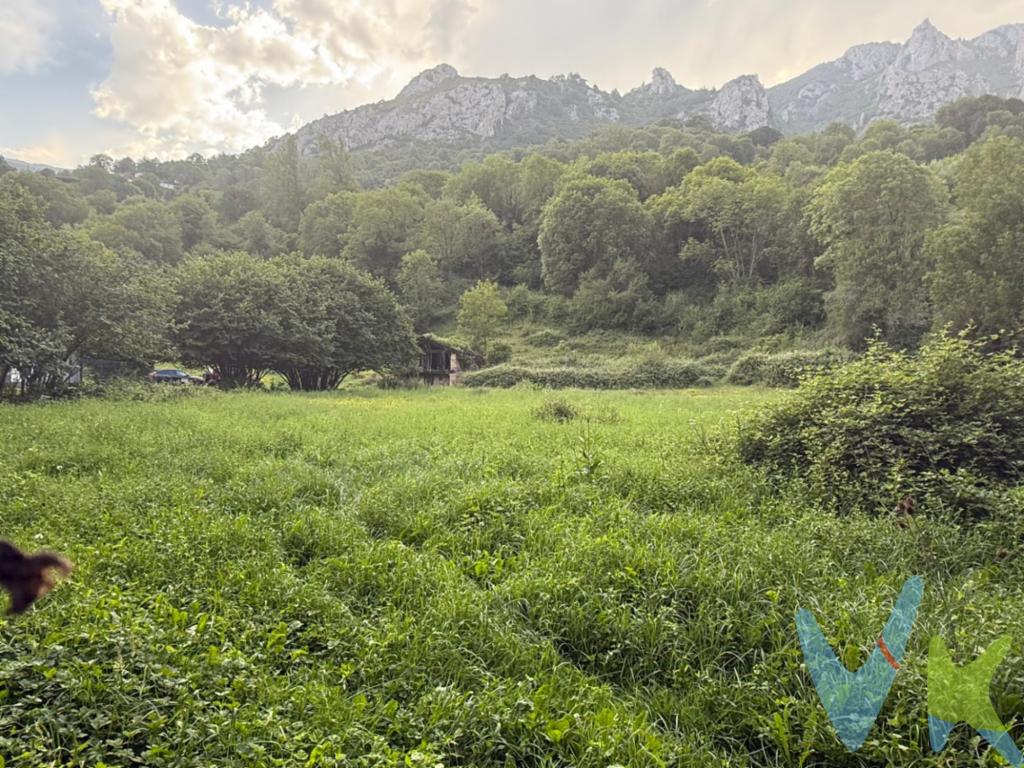 Alquiastur Inmobiliaria pone a la venta una magnífica finca rústica no edificable de aproximadamente 10.000 m², situada en un entorno natural privilegiado del concejo de Quirós, a escasos metros de la Senda del Oso.Si  buscas un lugar donde desconectar del ritmo diario y disfrutar de la naturaleza en estado puro, esta finca es una oportunidad única. Rodeada de montañas, bosques y paisajes espectaculares, ofrece un entorno de gran belleza, ideal para disfrutar del aire libre, desarrollar actividades agrícolas, ganaderas.Su excelente ubicación permite acceder fácilmente a la Senda del Oso, una de las rutas verdes más conocidas del Principado, perfecta para practicar senderismo, ciclismo o disfrutar de la fauna y el paisaje durante todo el año.Si sueñas con disponer de una gran parcela en un enclave incomparable, rodeado de vegetación y con infinitas posibilidades de disfrute, esta finca puede ser justo lo que estabas buscando.? Contacta con Alquiastur Inmobiliaria para recibir más información o concertar una visita. Estaremos encantados de ayudarte a descubrir este magnífico entorno natural.Gastos e impuestos no incluidos en el precio. A título orientativo, en segundas transmisiones, el comprador abonará el Impuesto sobre Transmisiones Patrimoniales (ITP). Para consultar los porcentajes del ITP puede hacerlo a través de la web oficial de servicios tributarios. La base imponible será el mayor valor entre precio de compraventa, tasación o valor de referencia catastral. Gastos de notaría y registro aranceles variables según precio, número de copias y complejidad).     El comprador escoge libremente notario. El vendedor asume, por ley, los gastos que le correspondan, salvo pacto en contrario. Si se precisa hipoteca: Tasación, condiciones y costes bancarios según entidad elegida por el comprador; así como los gastos de gestoría y cualesquiera otros inherentes a la formalización de la compraventa. De acuerdo con la ley, no se incluyen en el precio otros gastos o tributos que legalmente correspondan al comprador. Honorarios de intermediación inmobiliaria a cargo del vendedor y honorarios de mediación inmobiliaria del 2% más I.V.A. con un mínimo 2.000 más I.V.A.  a cargo del comprador.     El consumidor tiene derecho, conforme a la normativa vigente, a disponer de información y documentación adicional relativa al inmueble y condiciones de la compraventa, accesible en la sede física de la agencia. La agencia actúa exclusivamente como intermediaria en la operación. Cualquier compraventa y sus condiciones quedan sujetas en todo caso a la aceptación expresa del vendedor del inmueble y a la posterior formalización del correspondiente contrato. El presente anuncio tiene carácter meramente informativo; la información suministrada se corresponde con la disponible a la fecha de publicación, pudiendo variar en función de las circunstancias o actualizaciones legales, contractuales y fiscales.