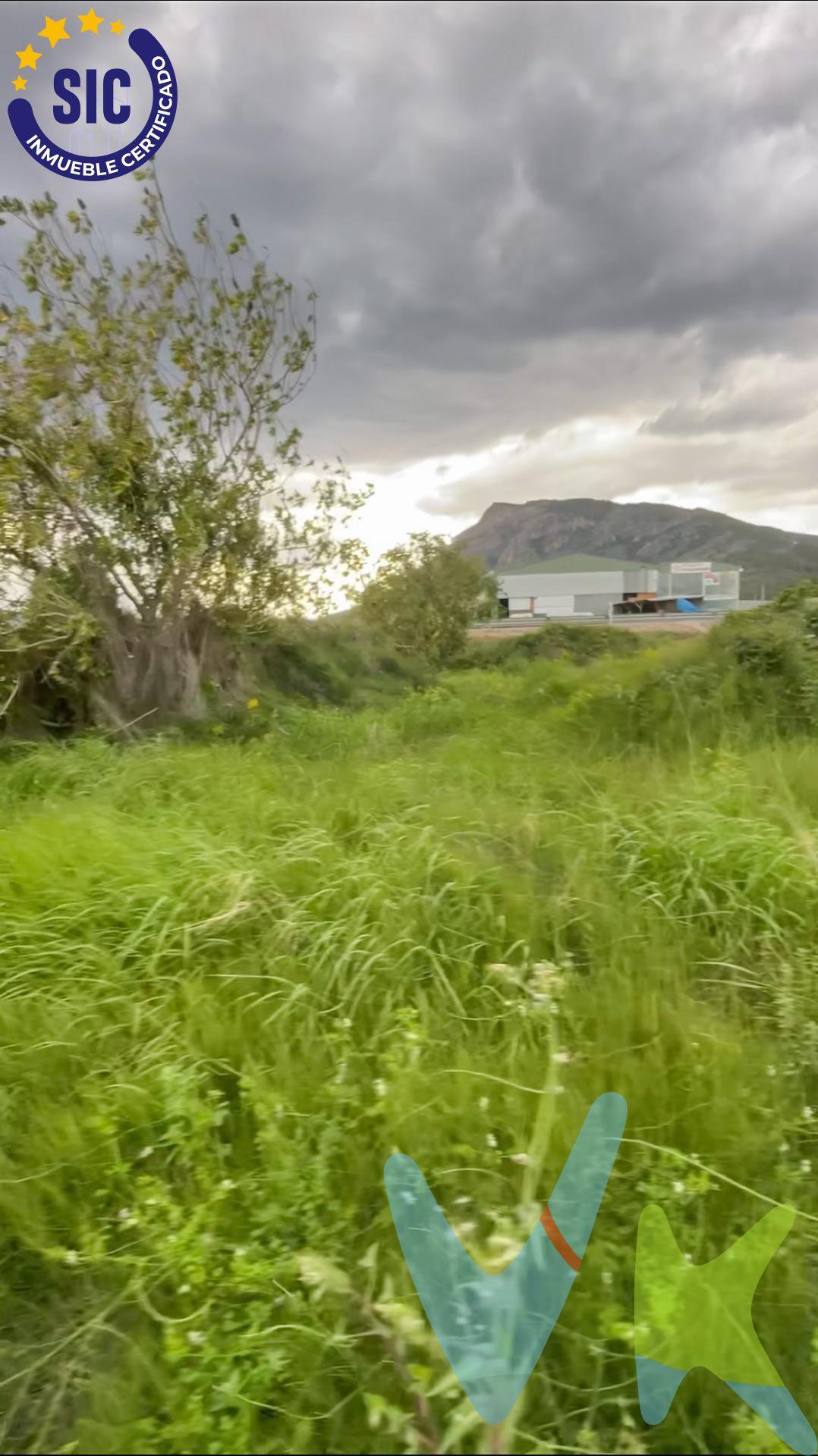 Terreno rústico en Tavernes de la Valldigna – Ideal para uso agrario. Se vende parcela rústica en la zona de El Teularet, Polígono 37, Parcela 188, en el término municipal de Tavernes de la Valldigna. •Superficie registral: 1.276 m². •Superficie catastral: 1.067 m². •Uso principal: Agrario. •Clase de terreno: Rústico. Ubicada en un entorno natural y tranquilo, esta parcela es ideal para cultivos, huerta o actividades agrícolas. Perfecta para quienes buscan un espacio en el campo con fácil acceso desde Tavernes de la Valldigna. Si te interesa o deseas más información, ¡contáctanos!. La descripción del presente inmueble e imágenes tienen mero carácter informativo y en ningún caso carácter contractual, pudiendo ser modificados por la inmobiliaria comercializadora sin que ello implique responsabilidad alguna frente a terceros. En el precio de venta a público, esta propiedad NO incluye los gastos de adquisición (Notario, registro, gestión, honorarios, etc…).